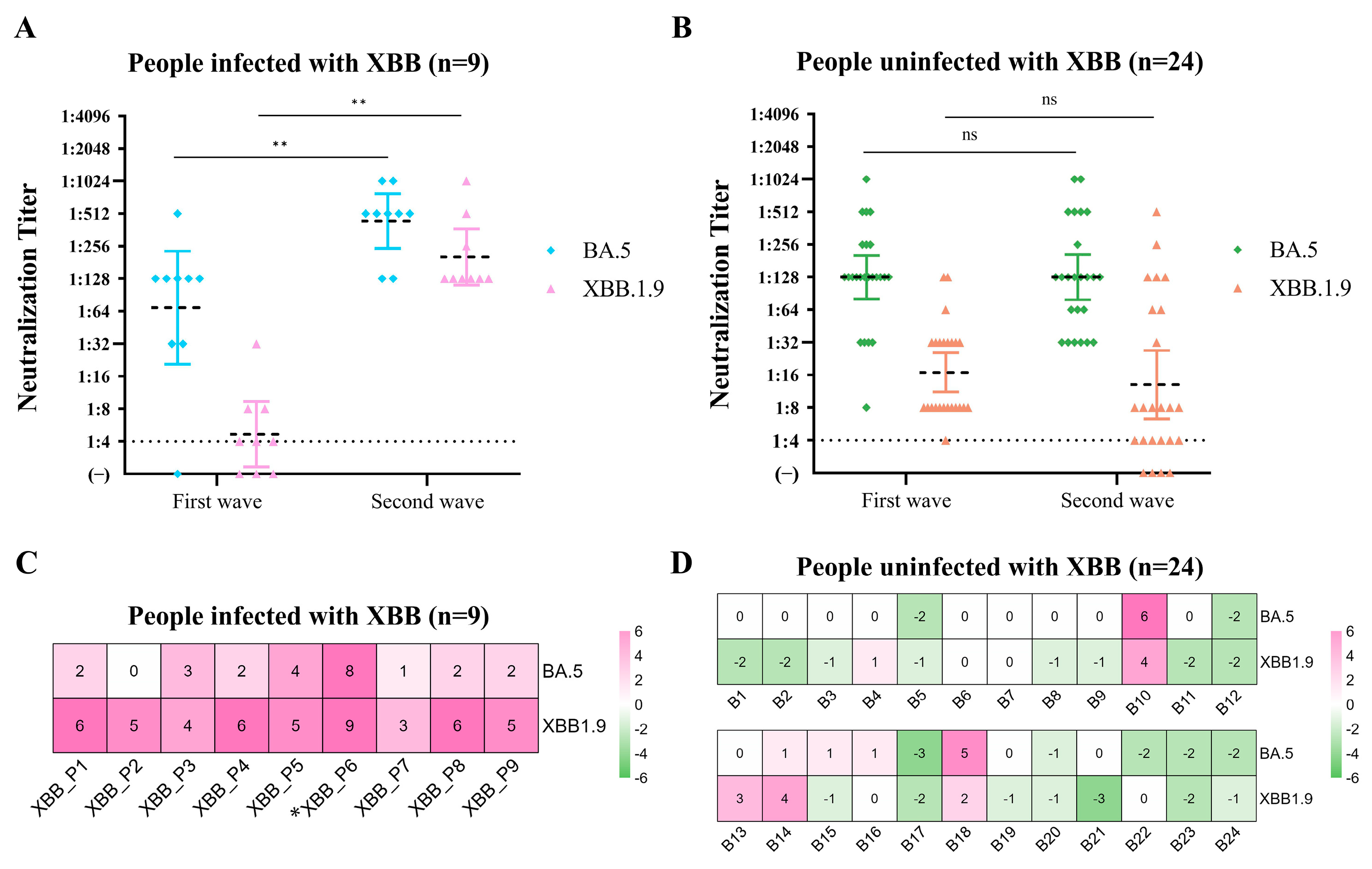 Viruses 16 00649 g004