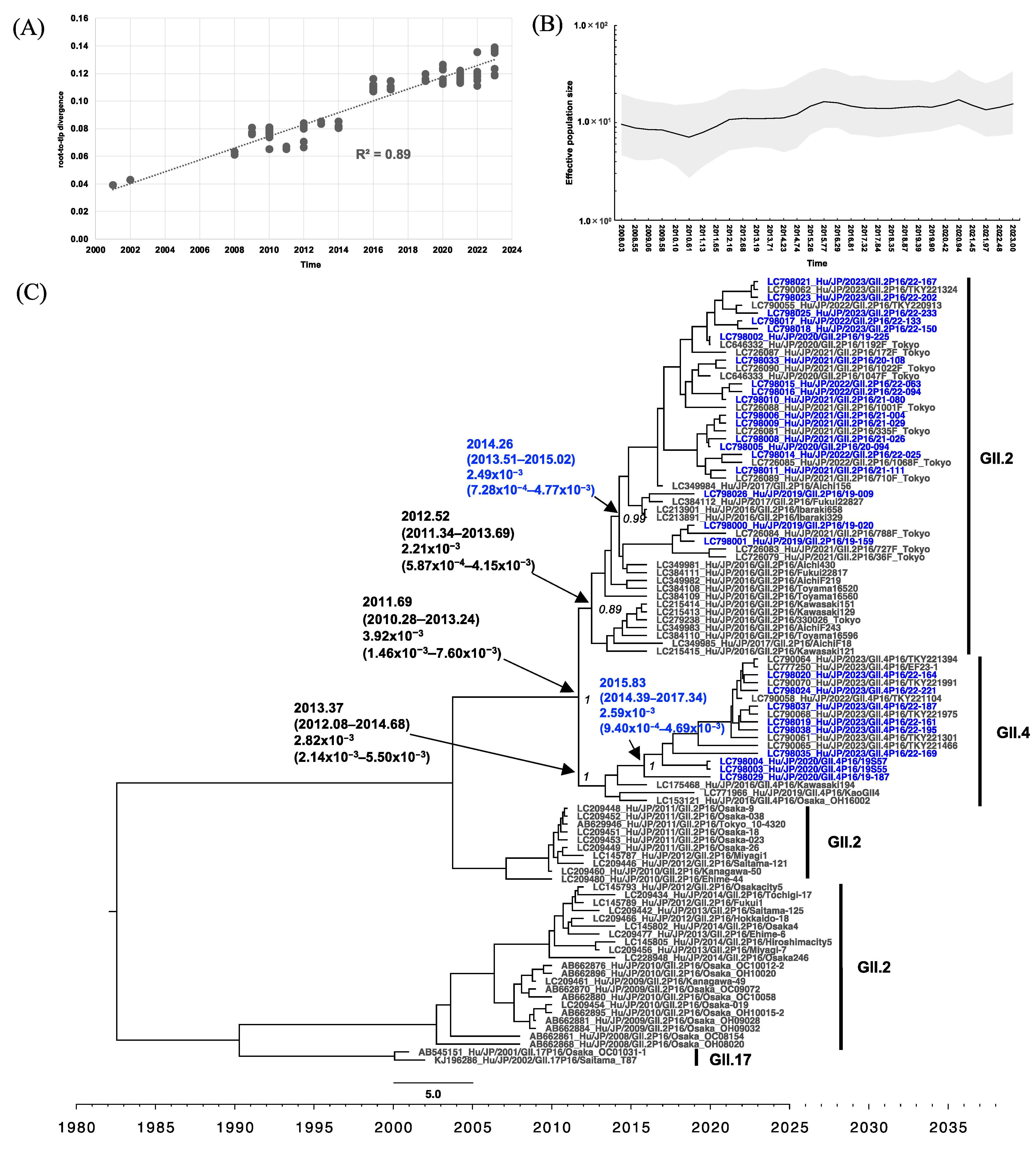 Viruses 16 00654 g004