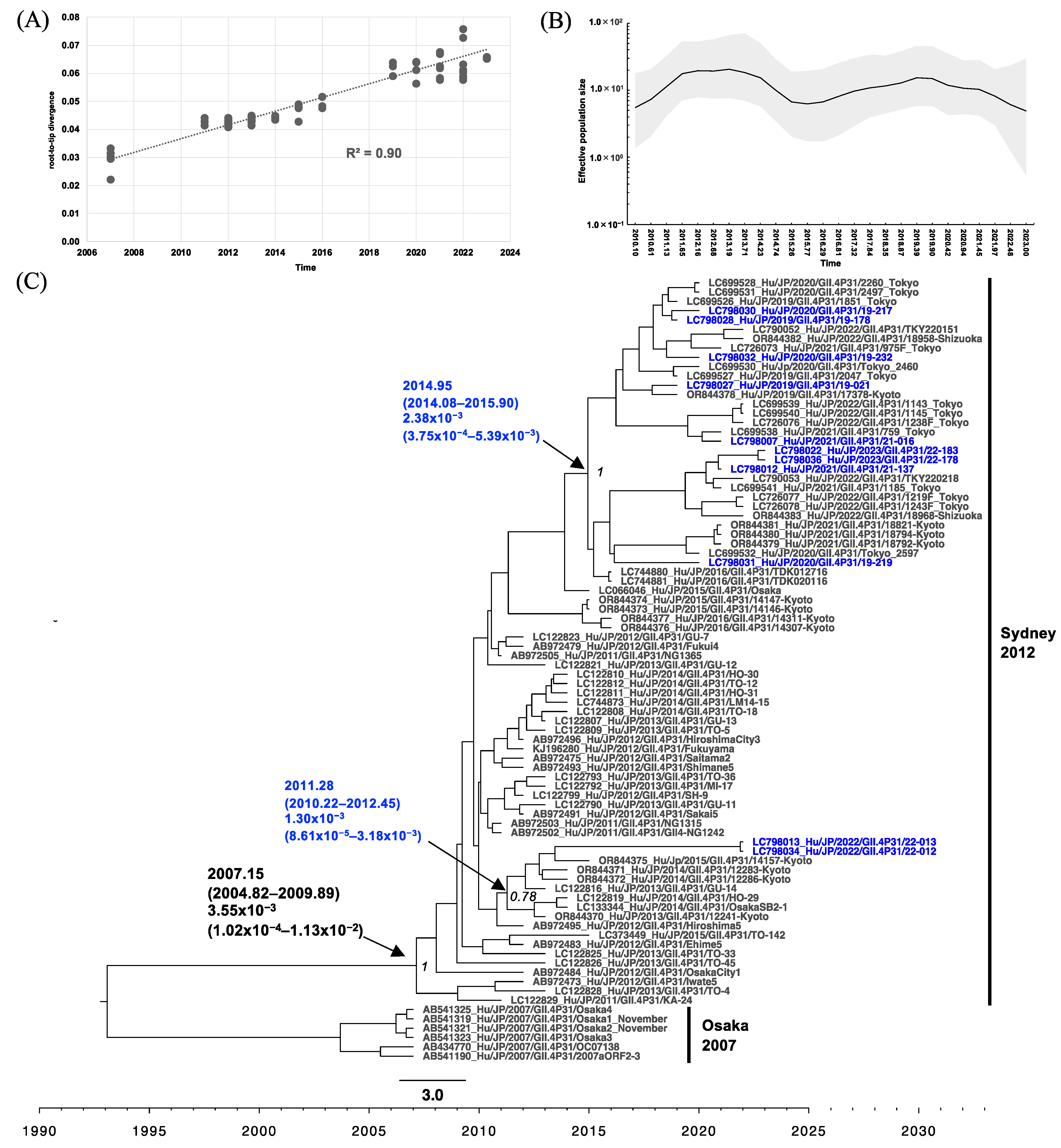 Viruses 16 00654 g005