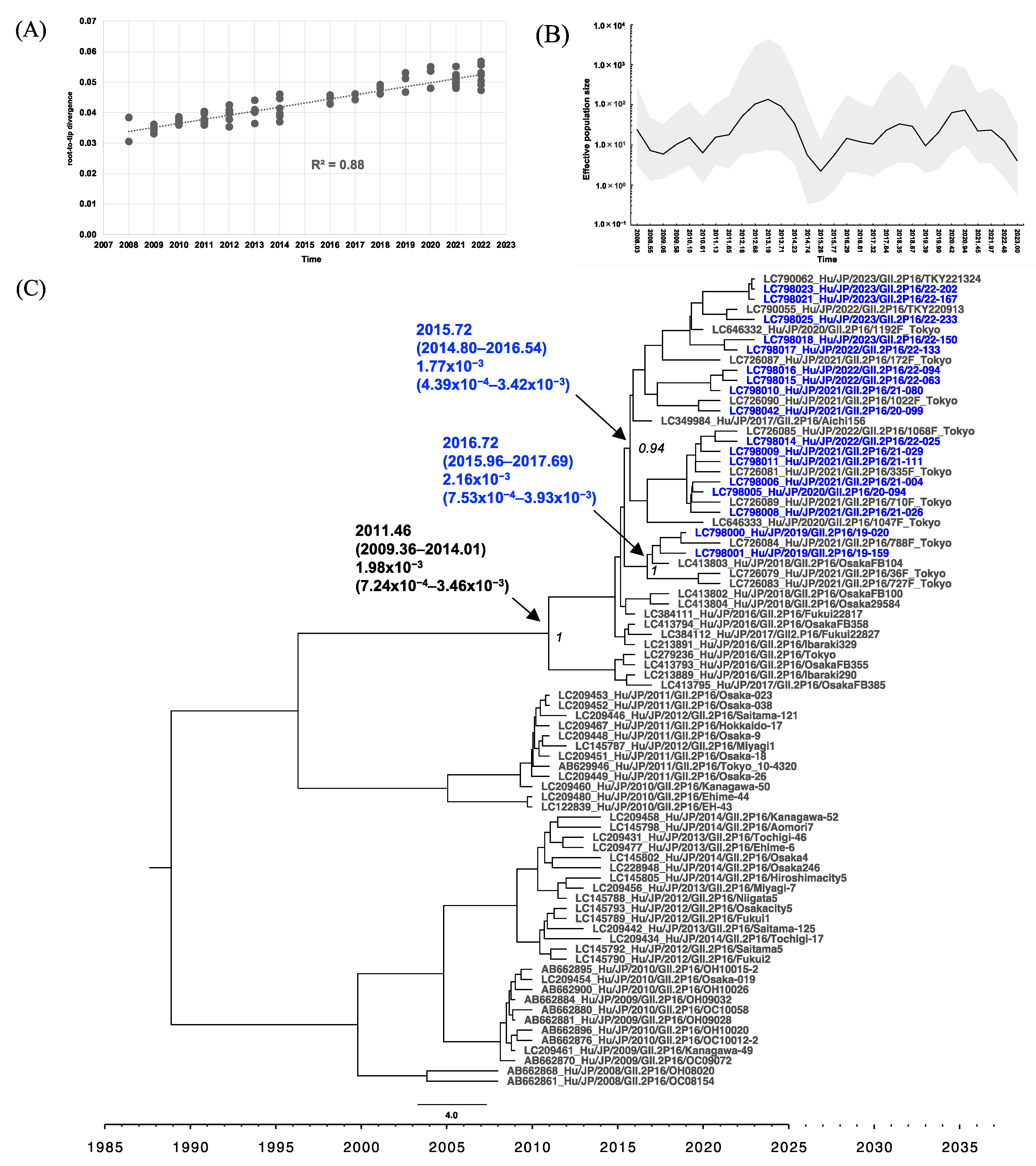 Viruses 16 00654 g006