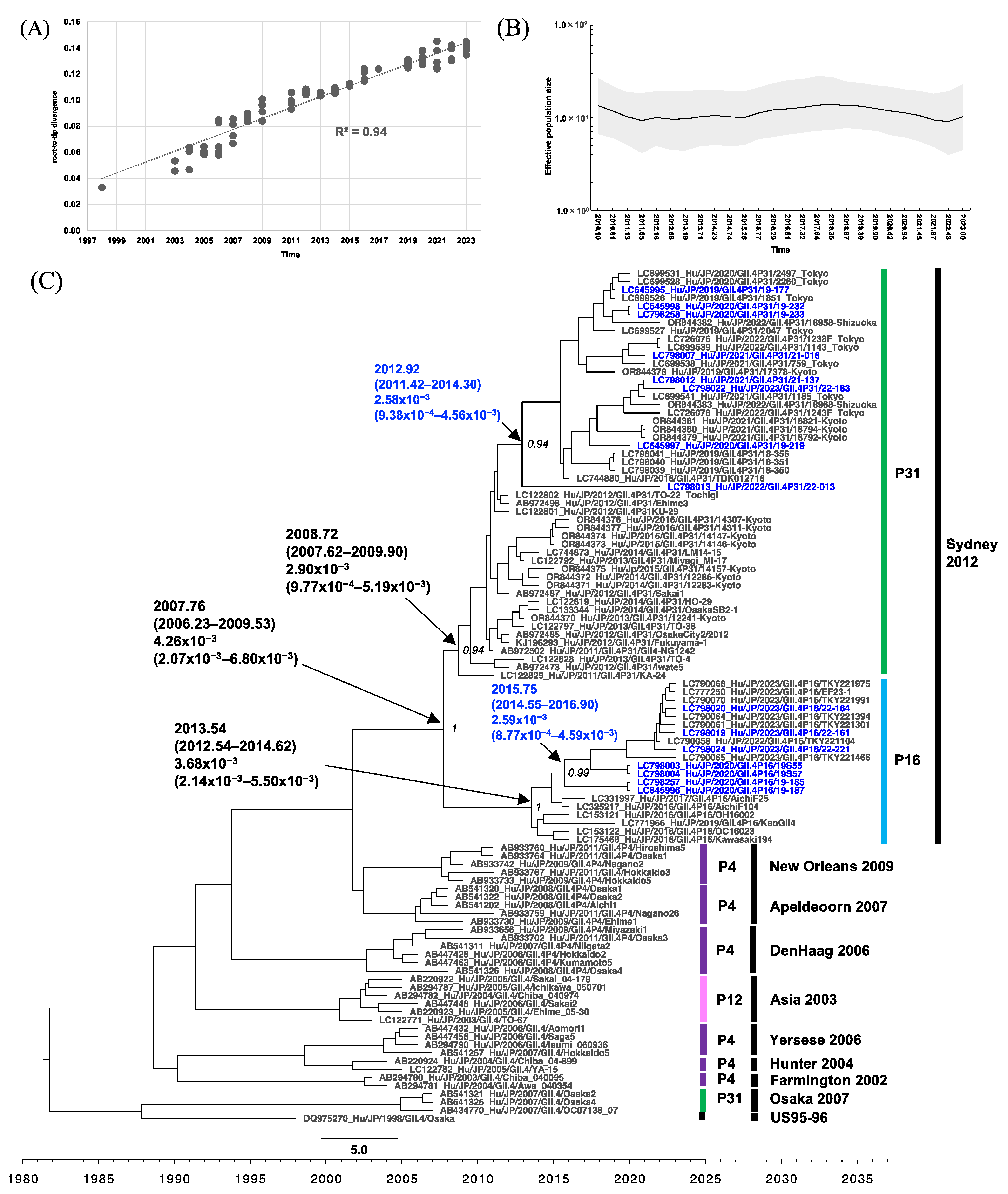 Viruses 16 00654 g007