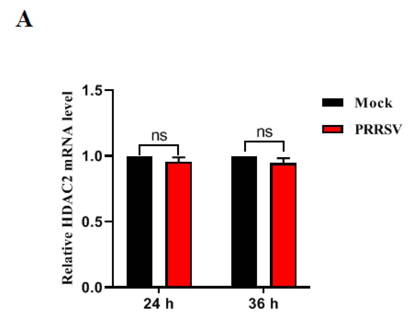 Viruses 16 00678 g001a