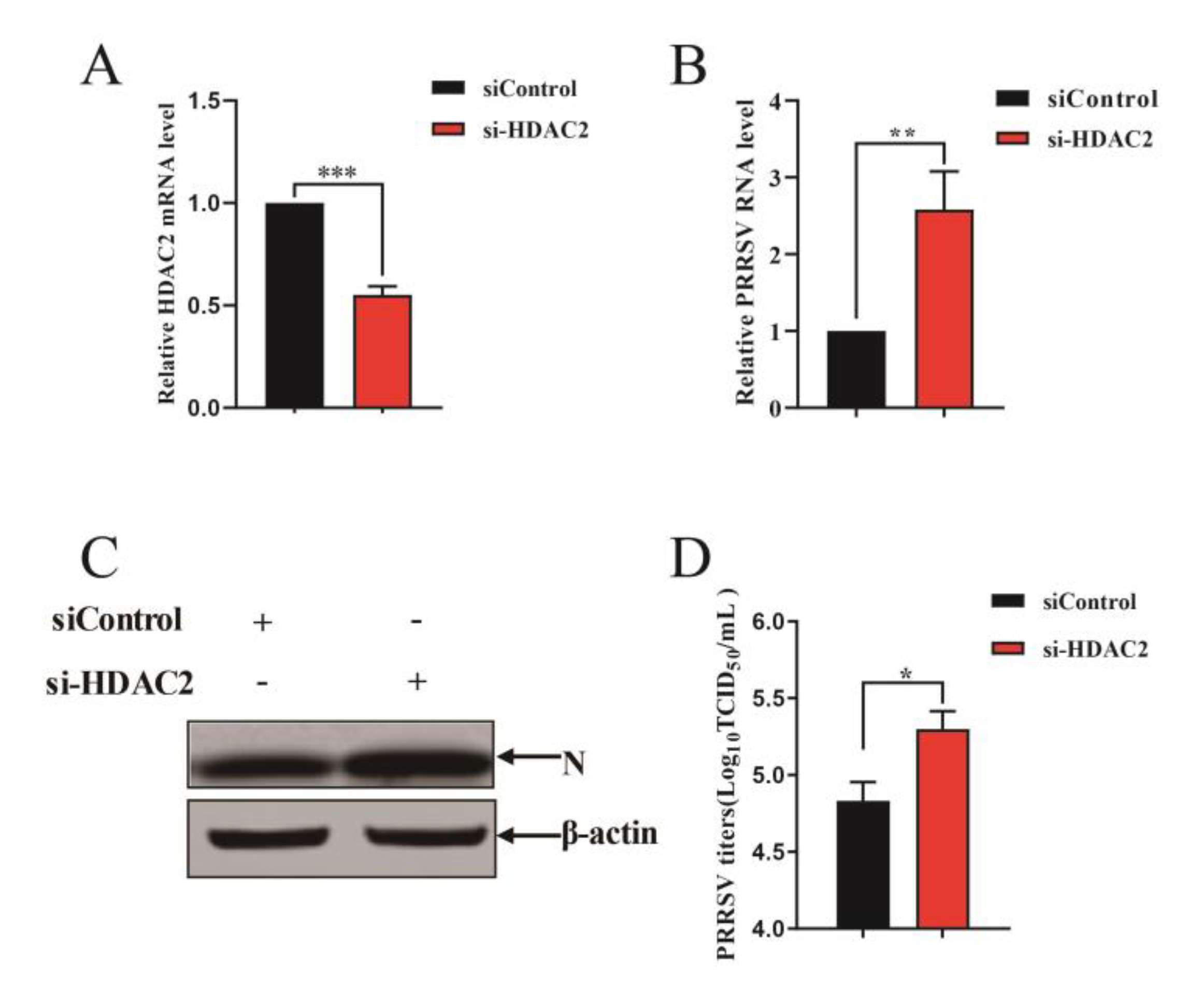 Viruses 16 00678 g003