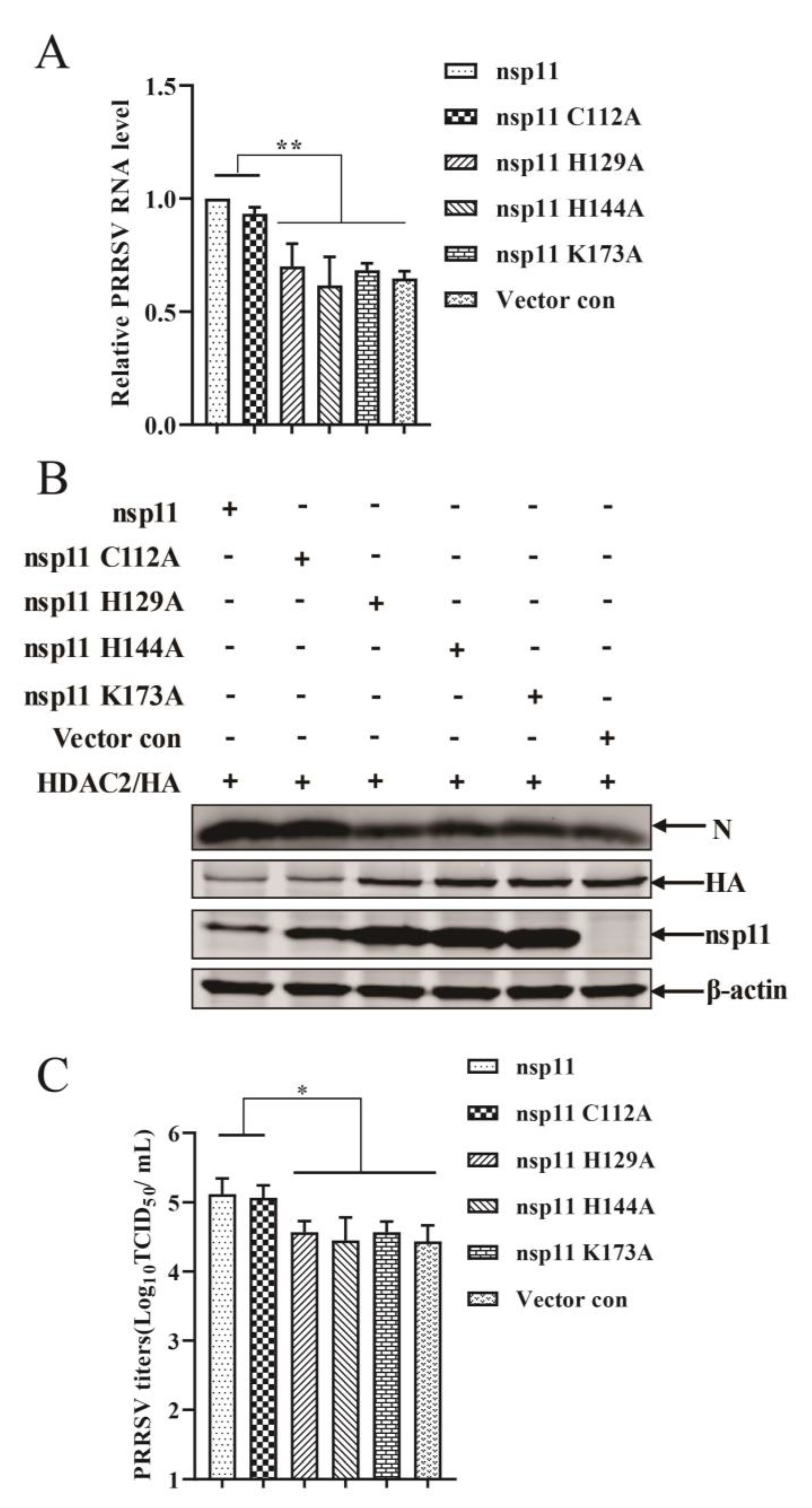 Viruses 16 00678 g007