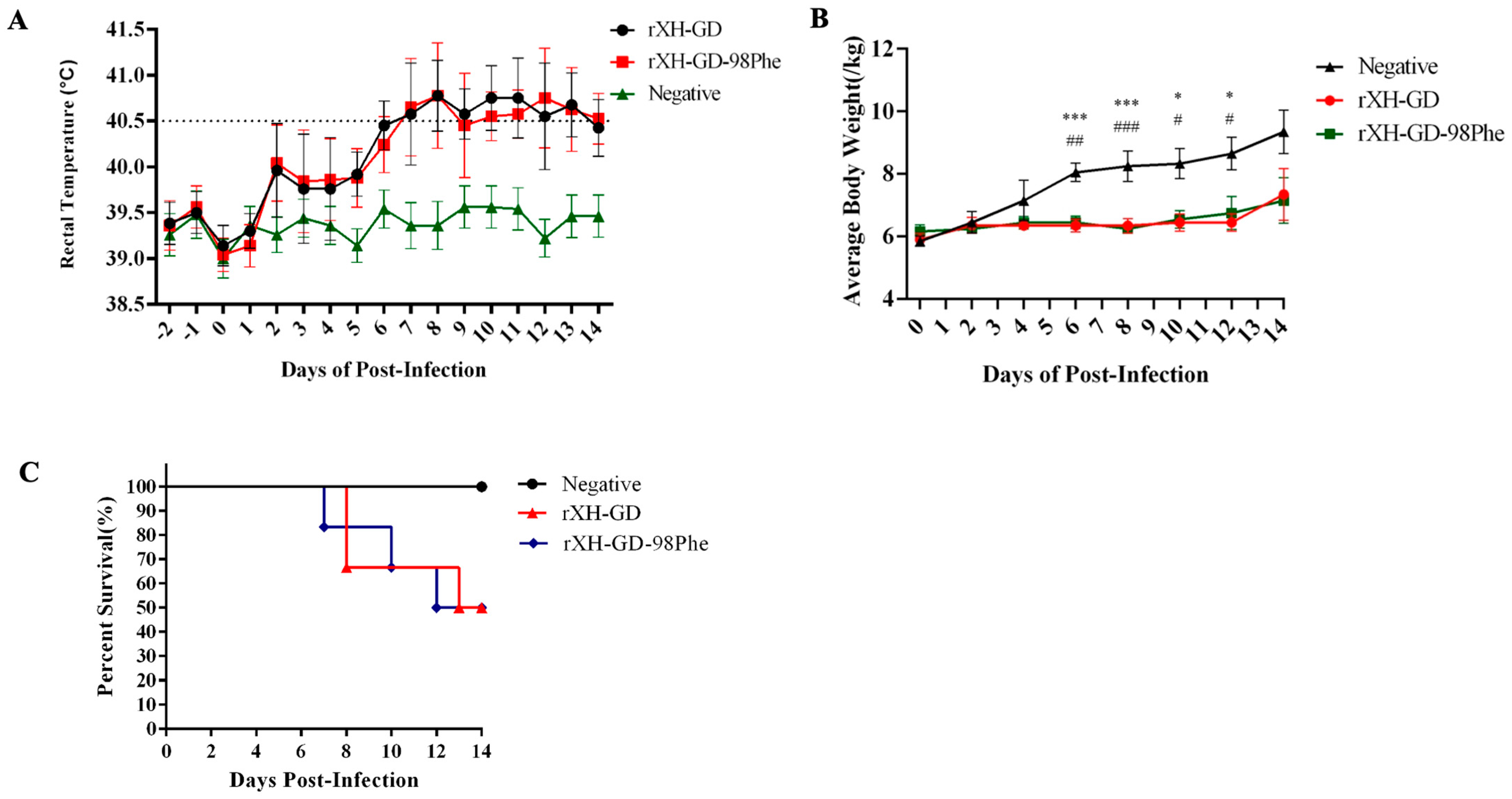 Viruses 16 00711 g007