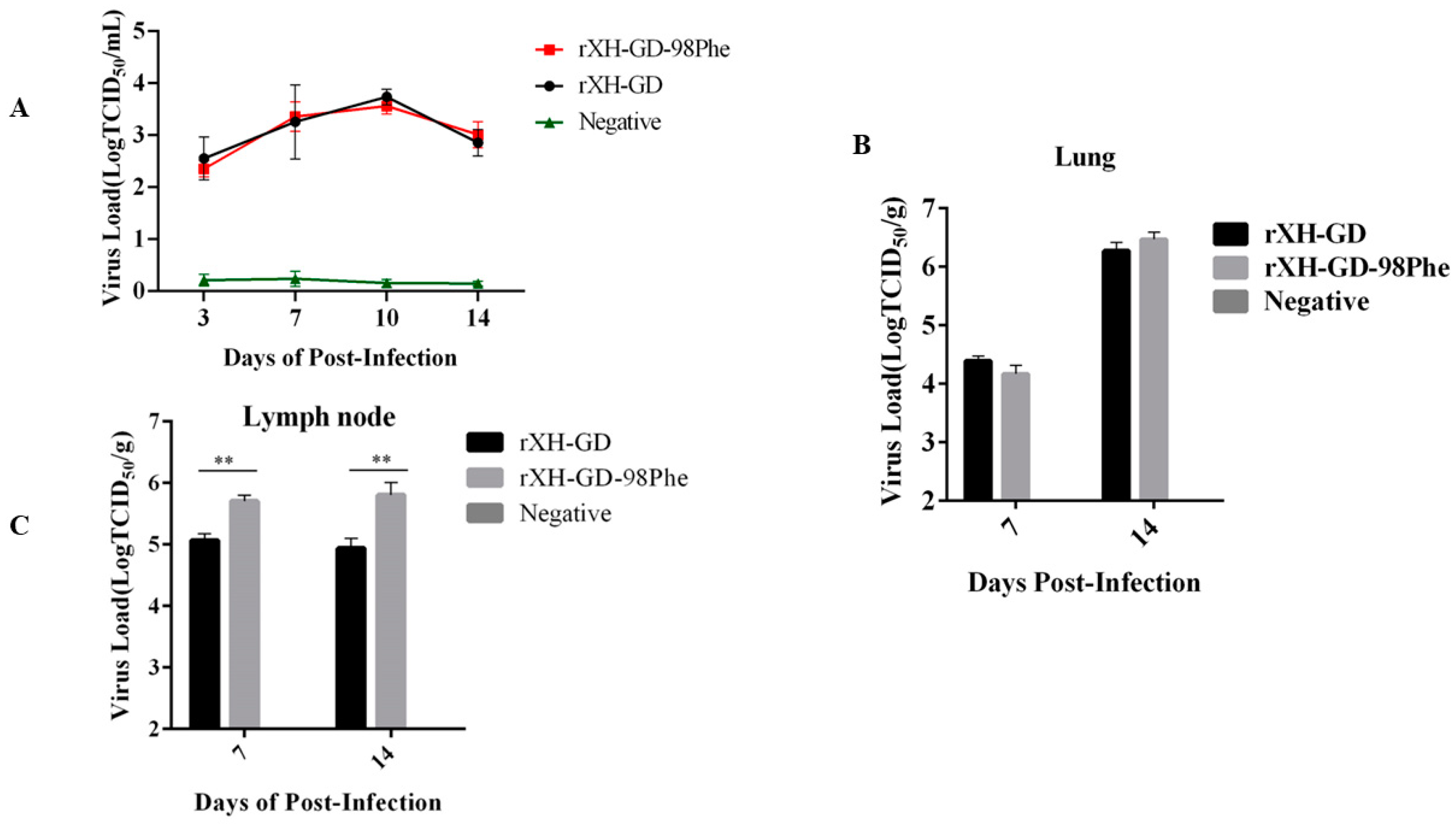 Viruses 16 00711 g009