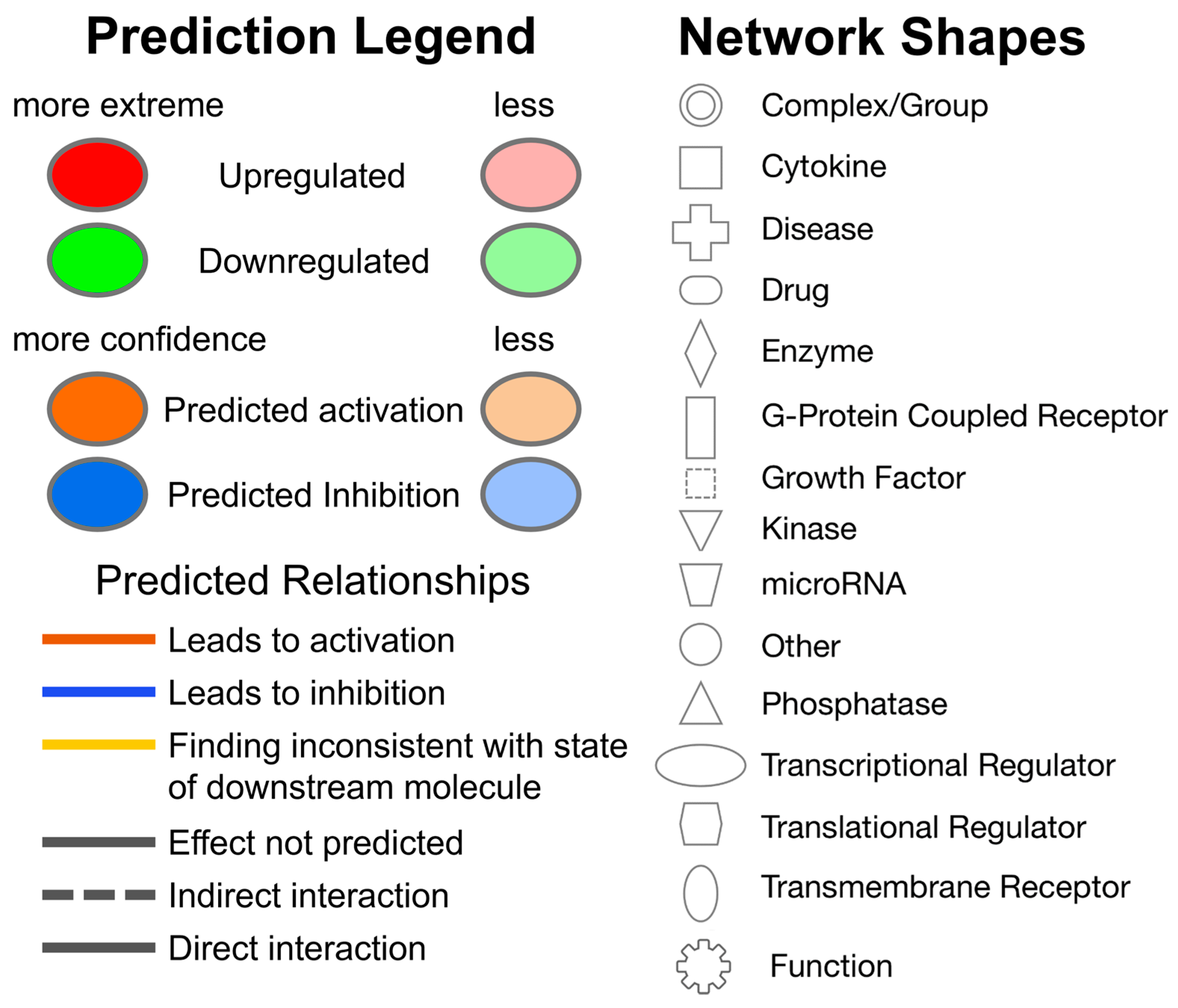 Viruses 16 00721 g006