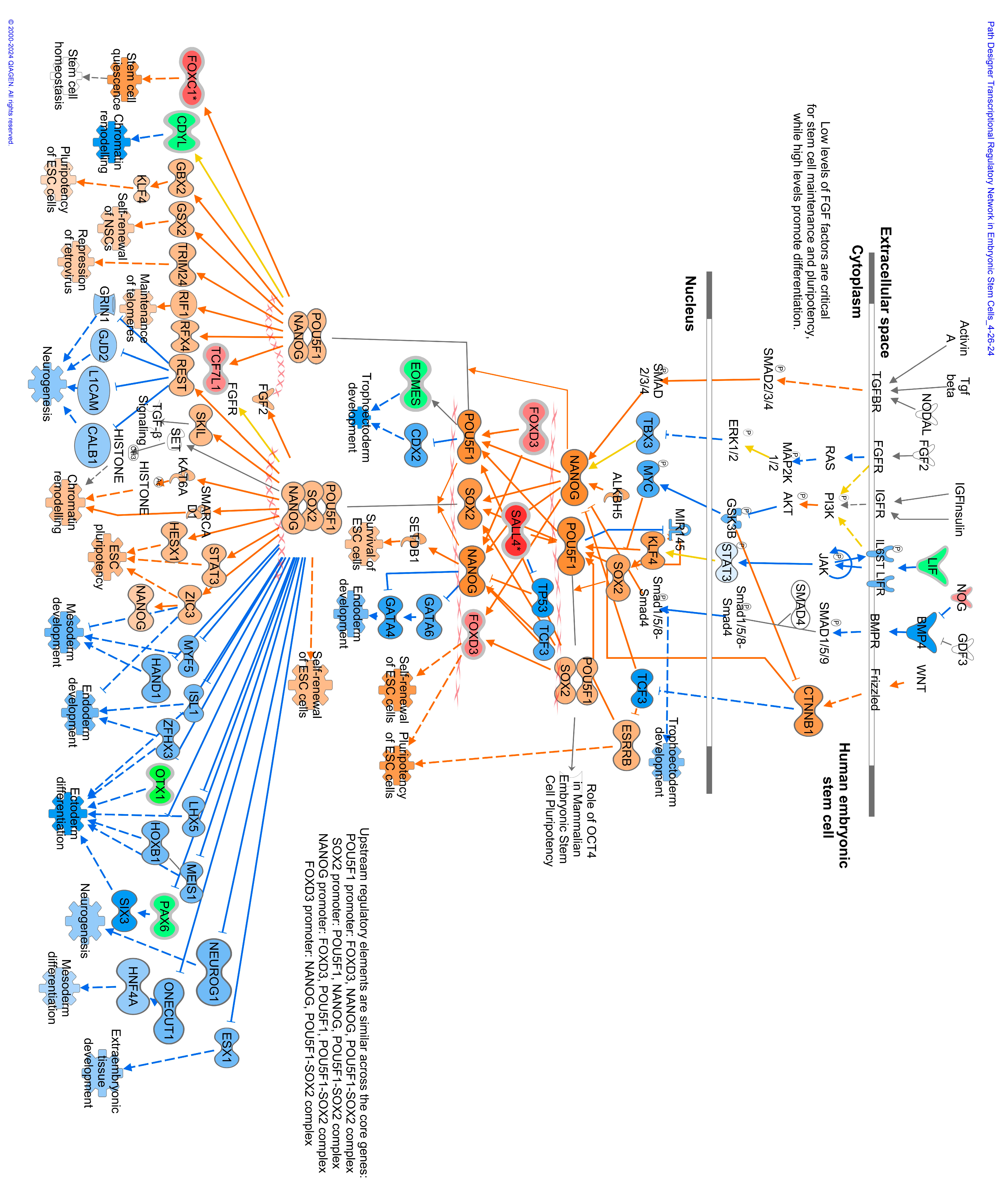 Viruses 16 00721 g009
