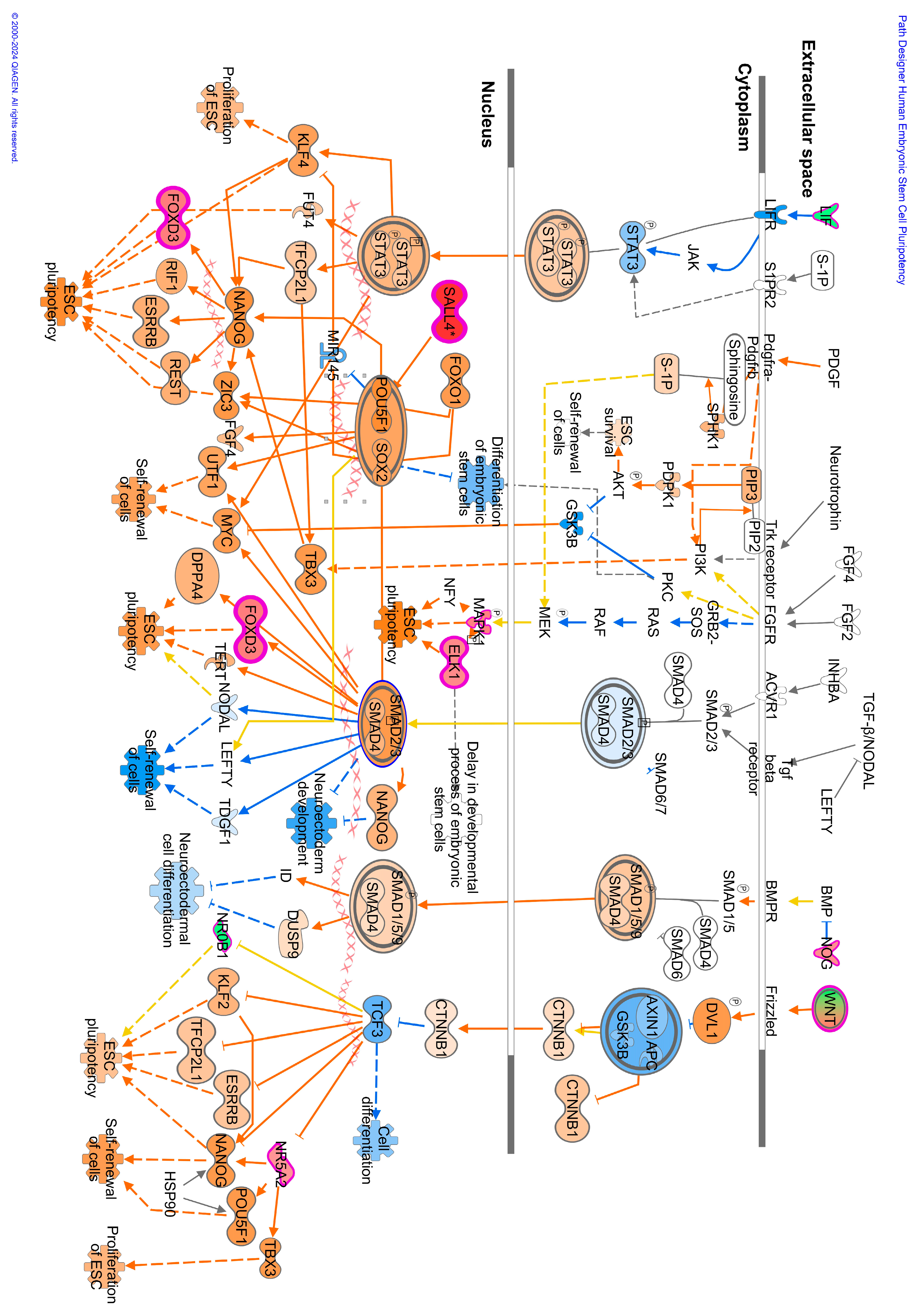 Viruses 16 00721 g010