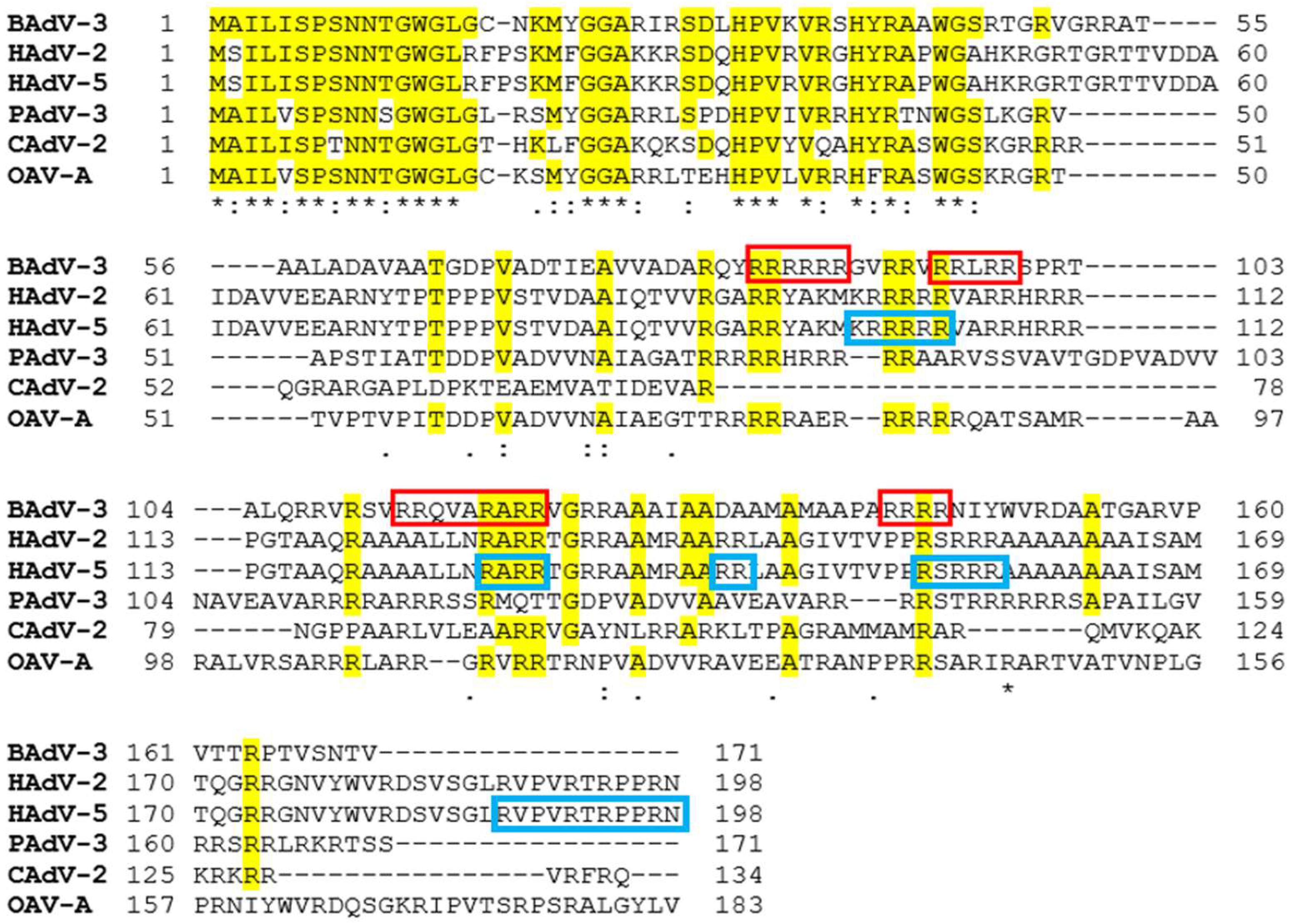 Viruses 16 00732 g001