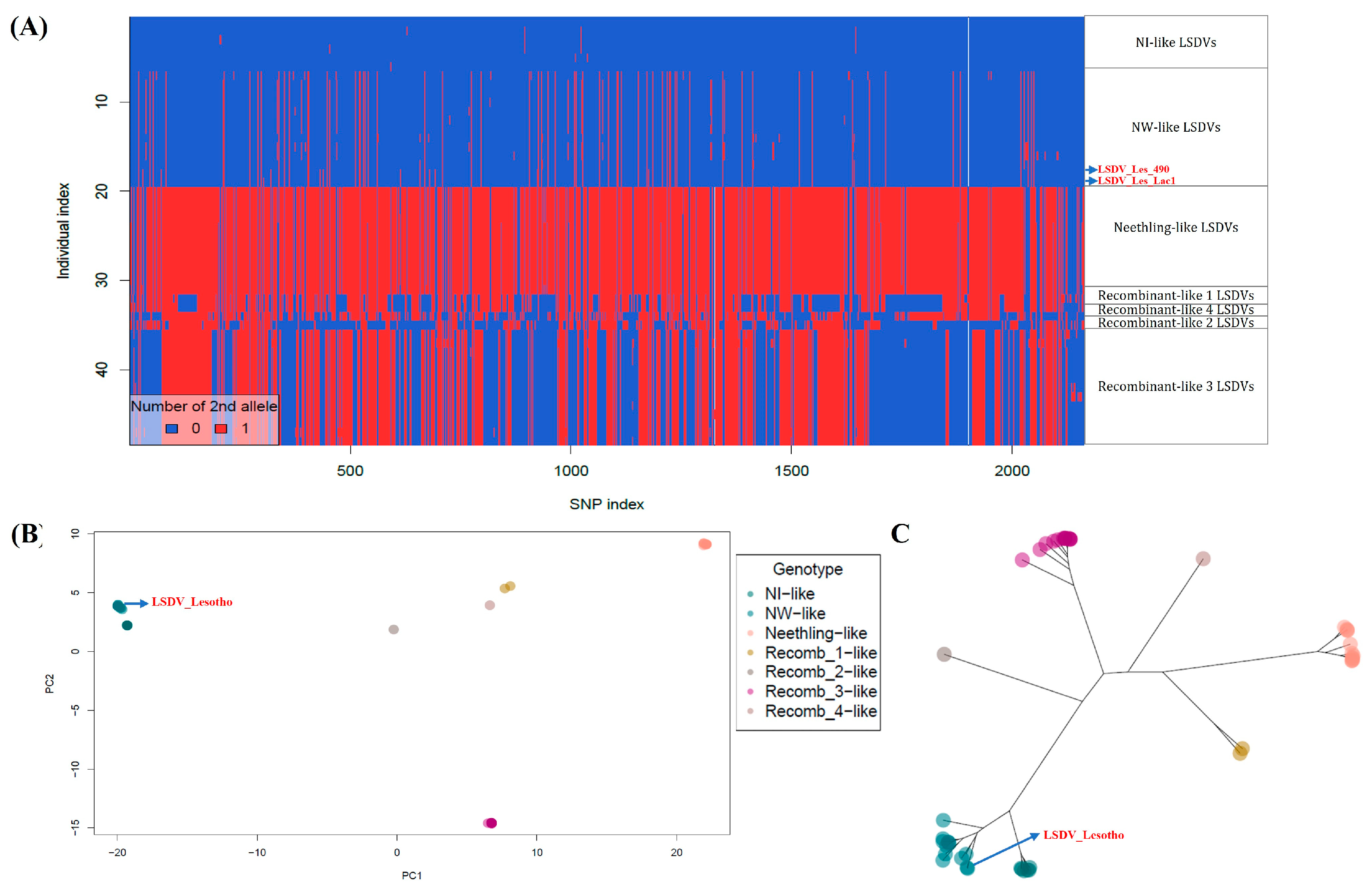 Viruses 16 00762 g005
