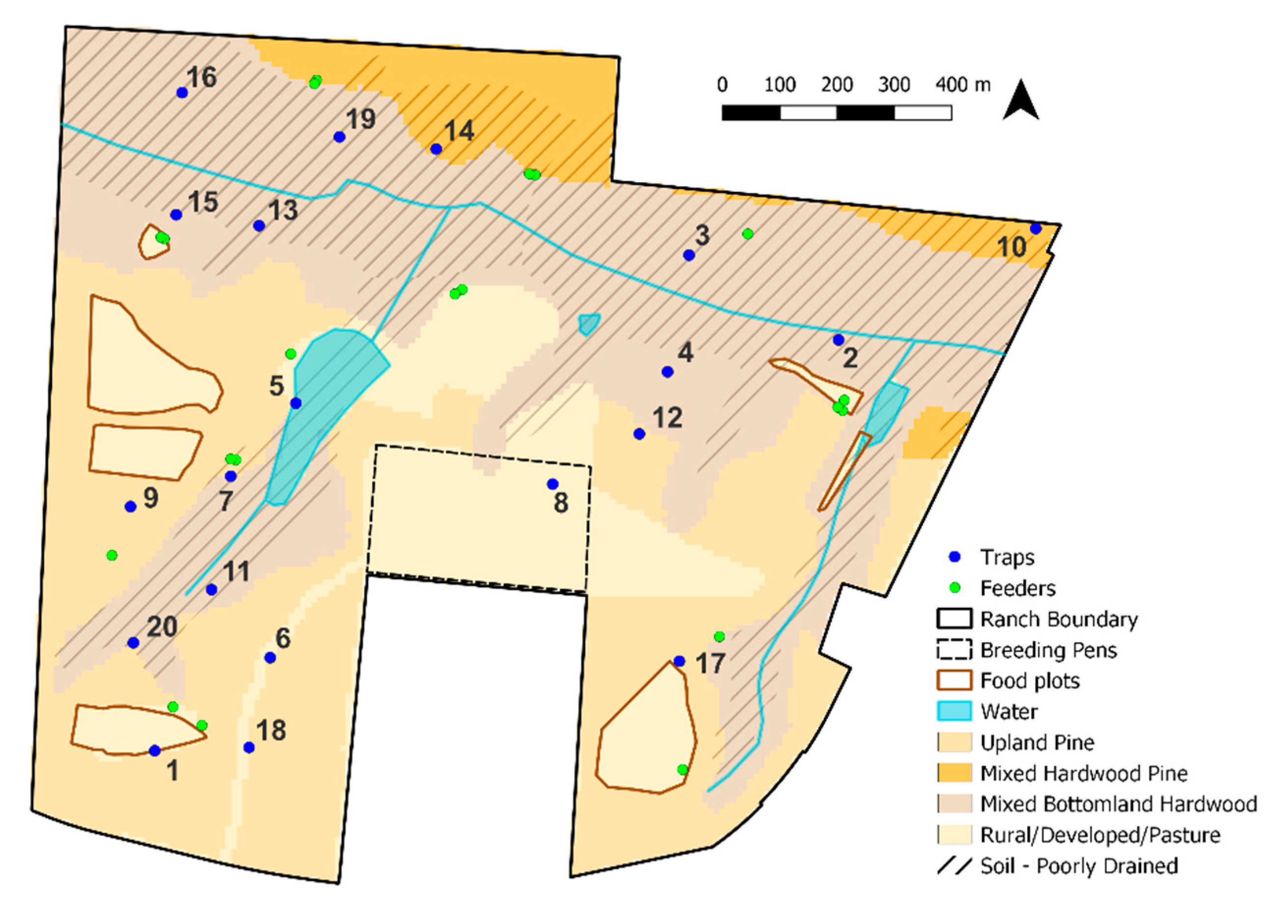Viruses 16 00766 g001