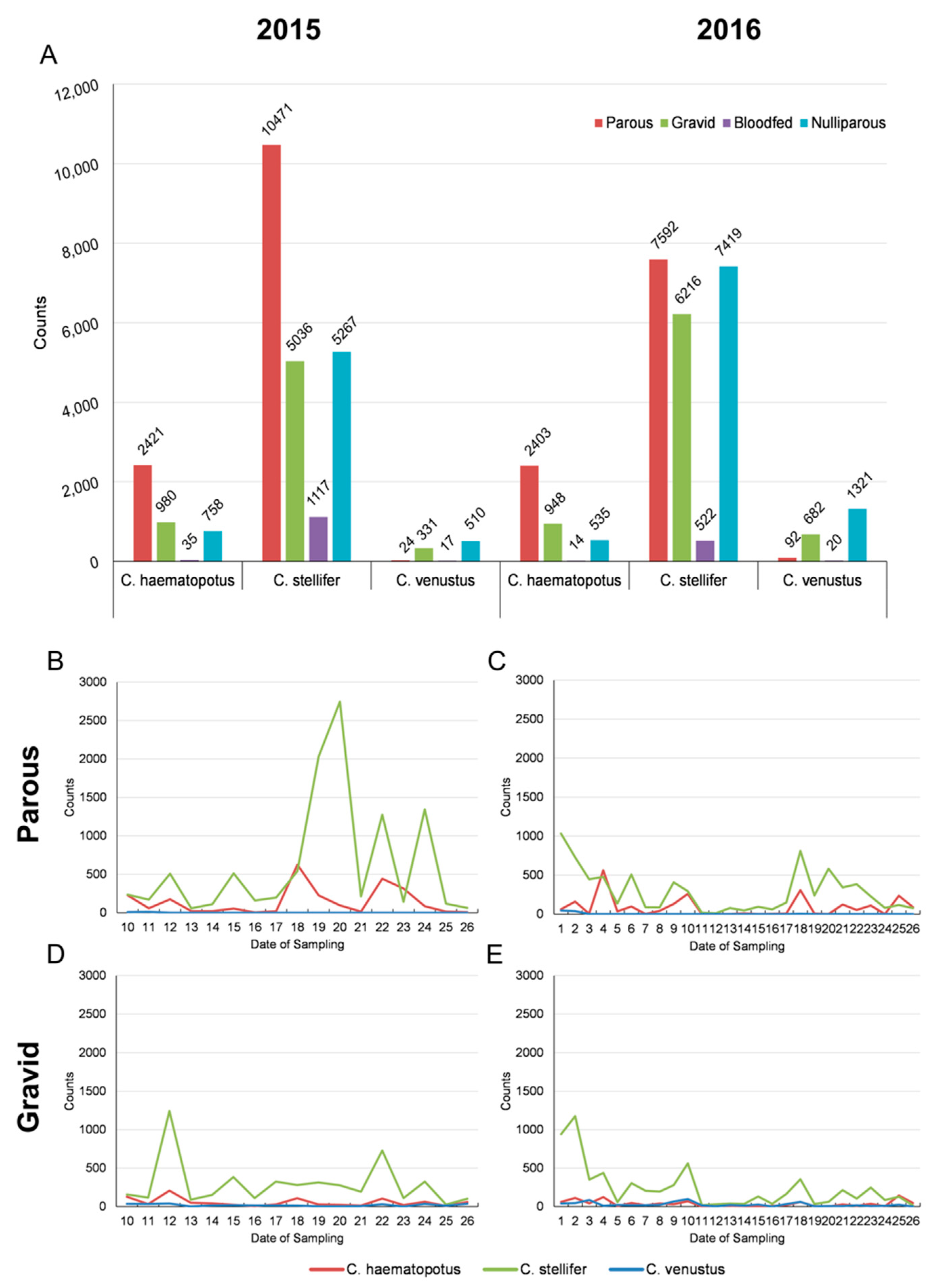 Viruses 16 00766 g002