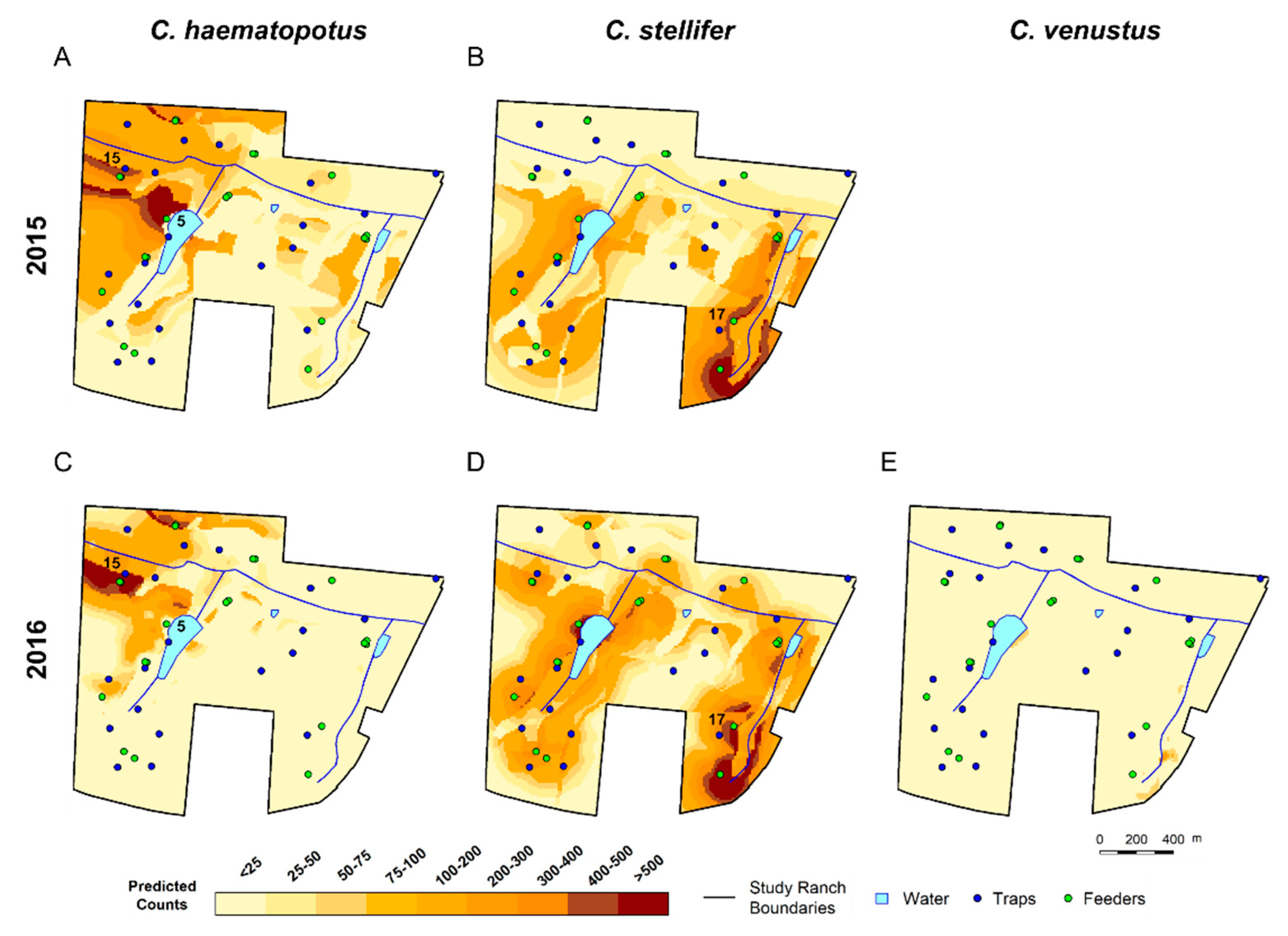 Viruses 16 00766 g003