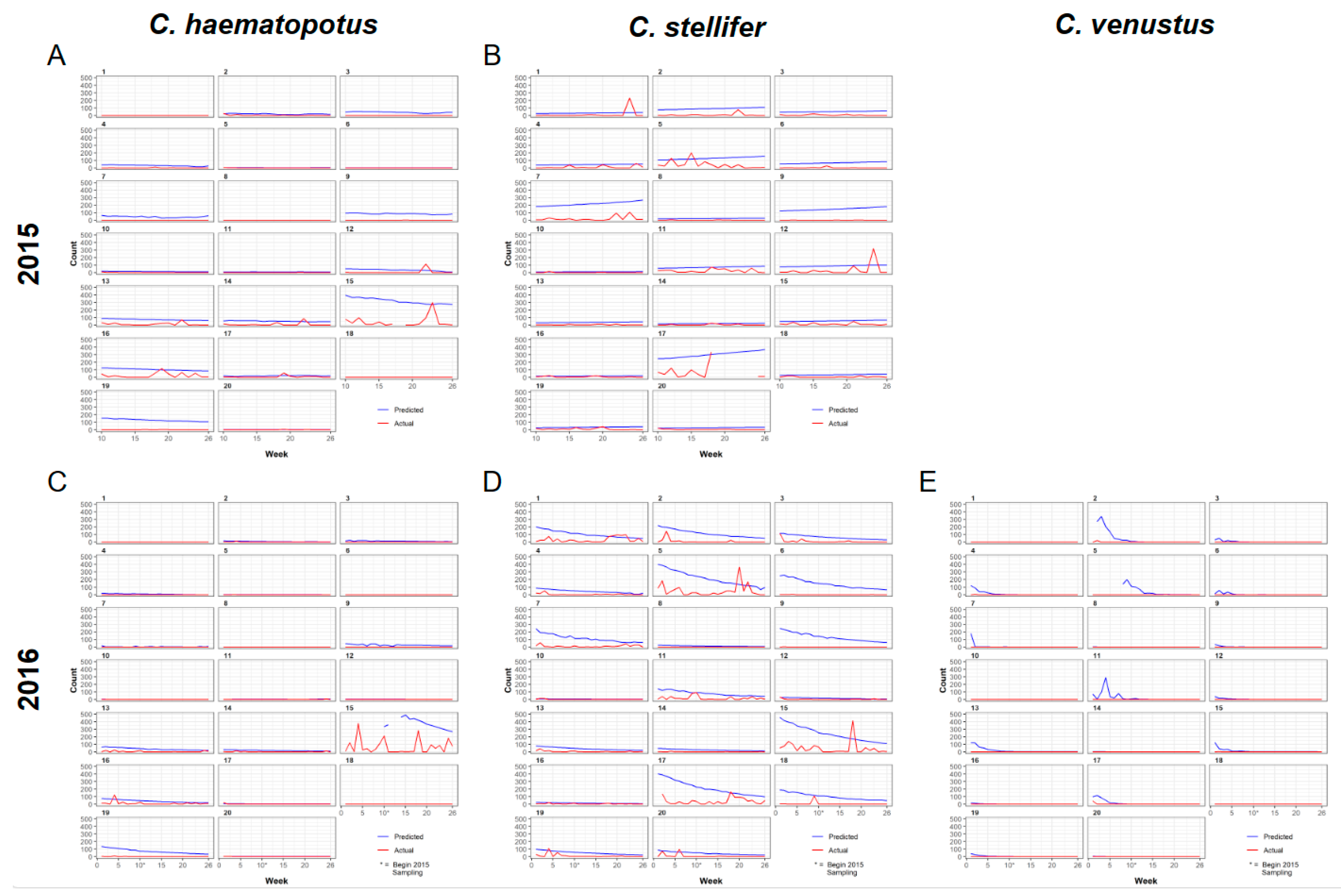 Viruses 16 00766 g005