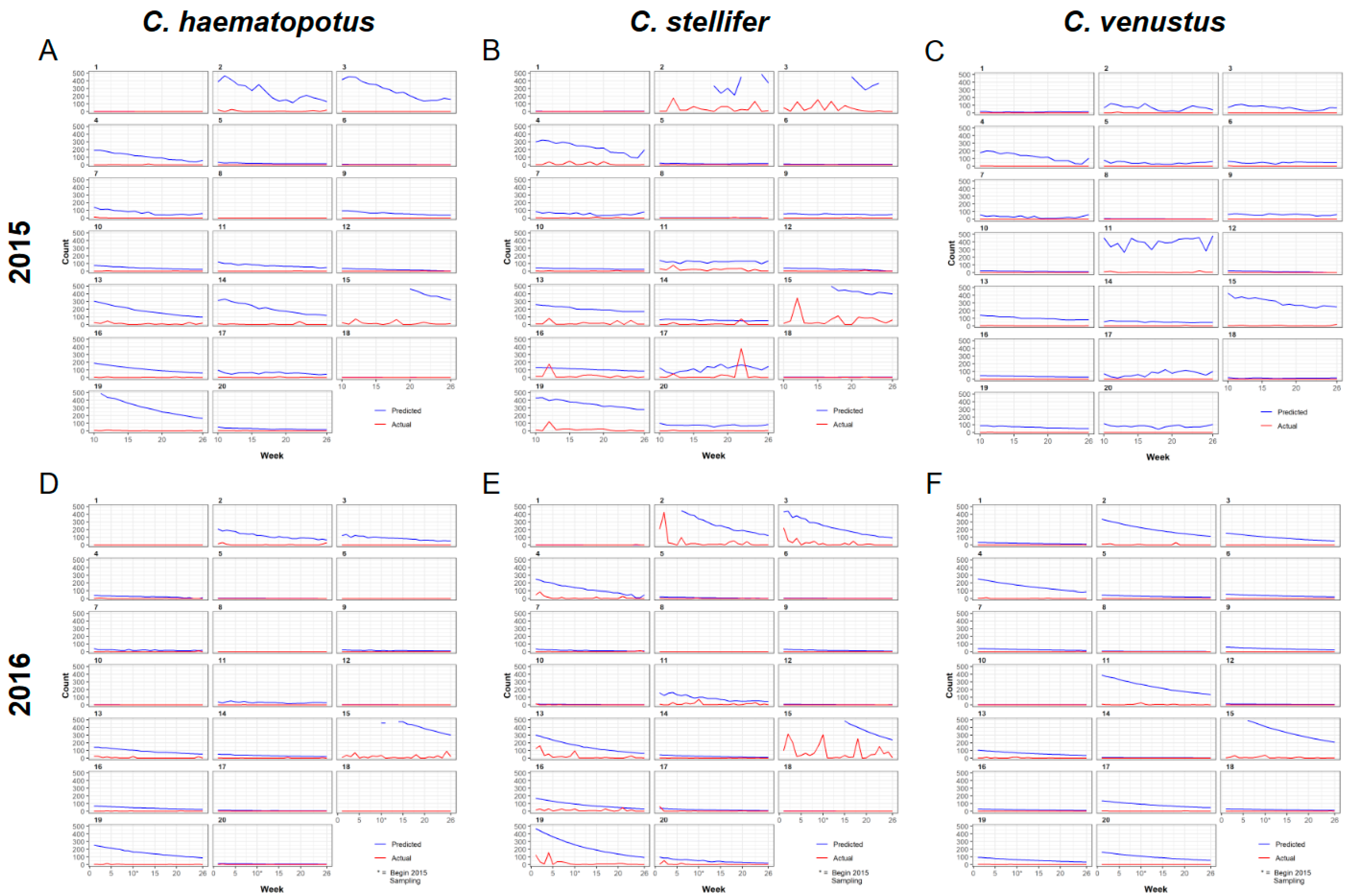 Viruses 16 00766 g006
