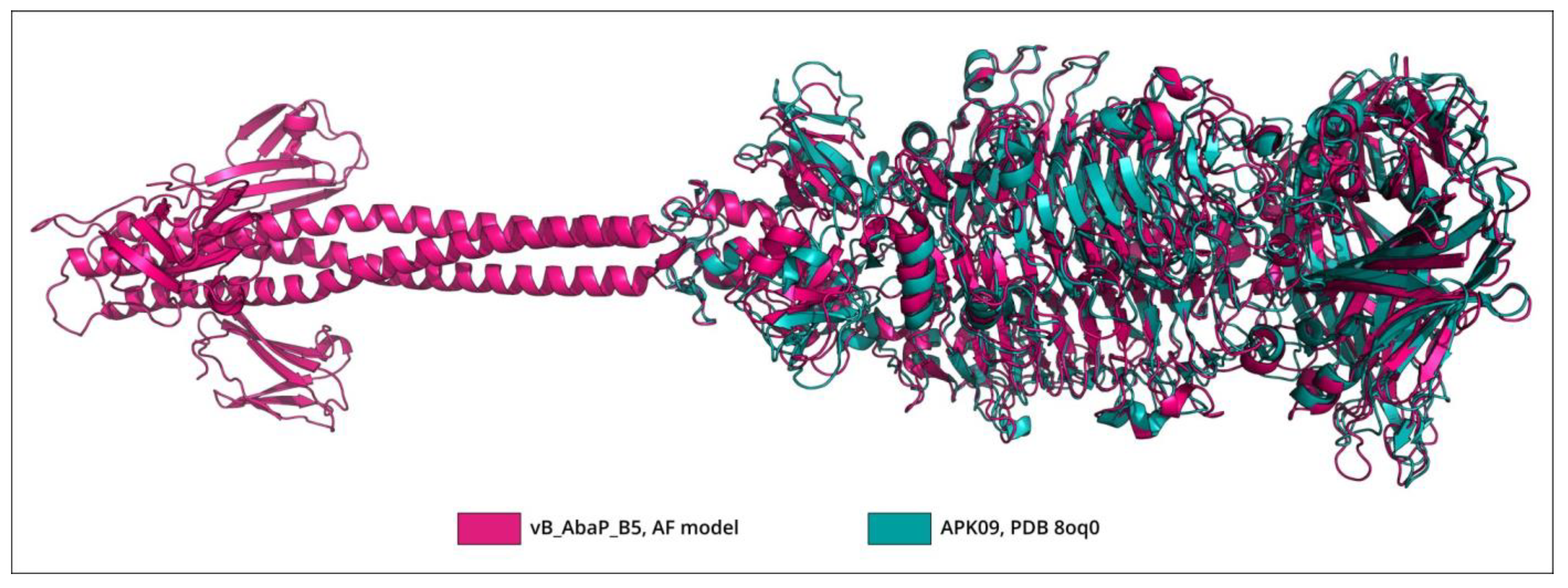 Viruses 16 00771 g004
