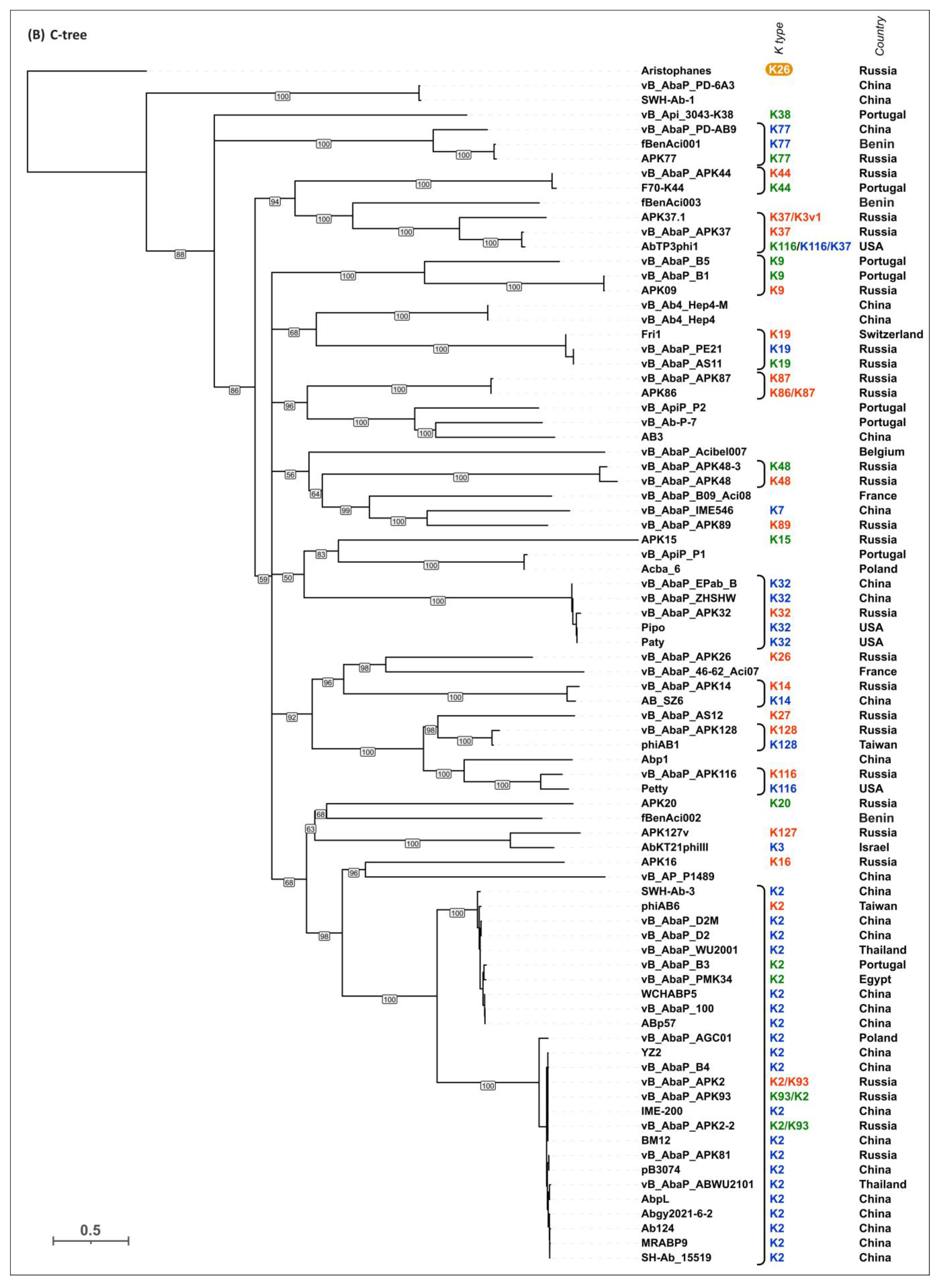 Viruses 16 00771 g006b