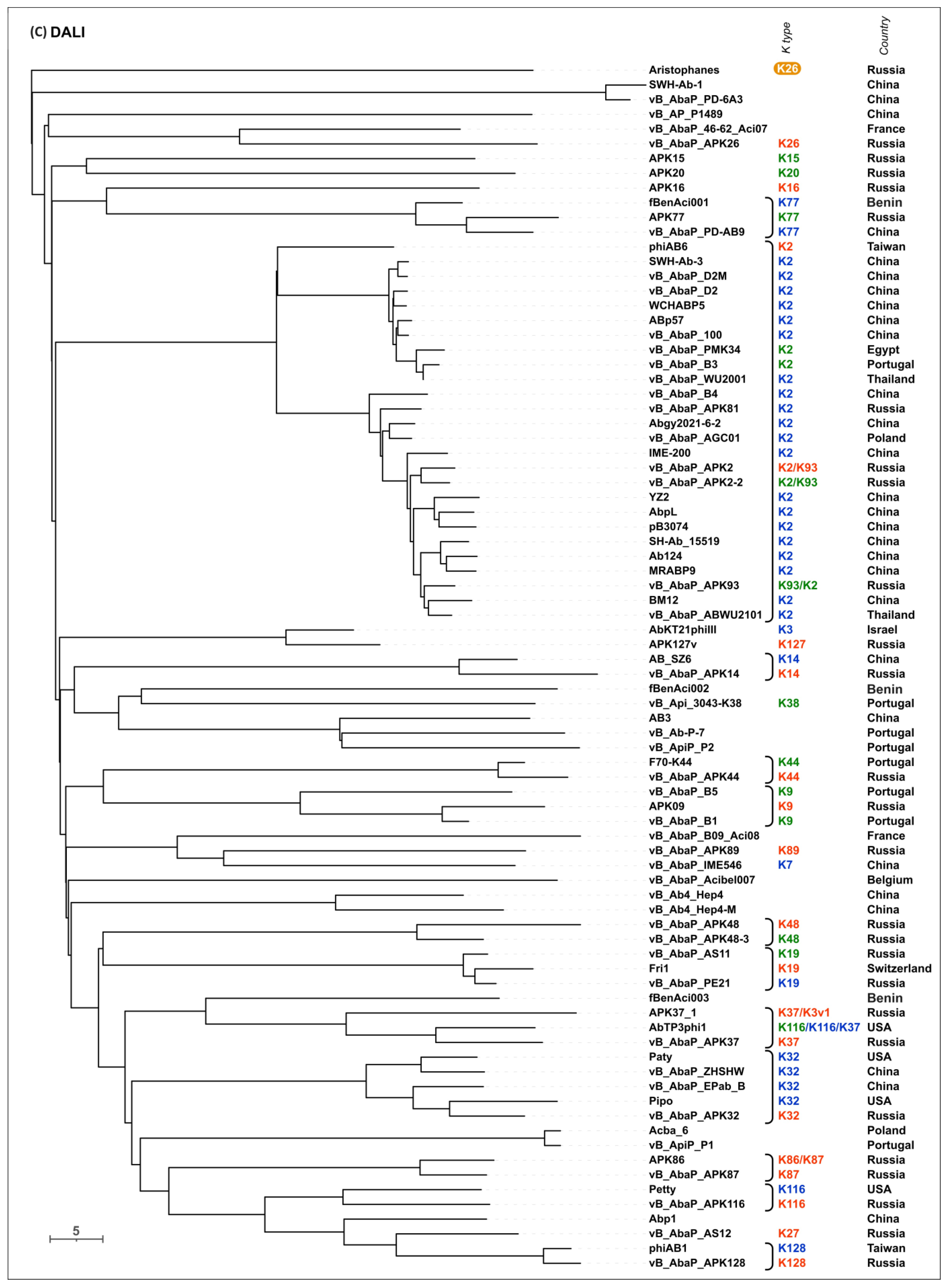Viruses 16 00771 g006c