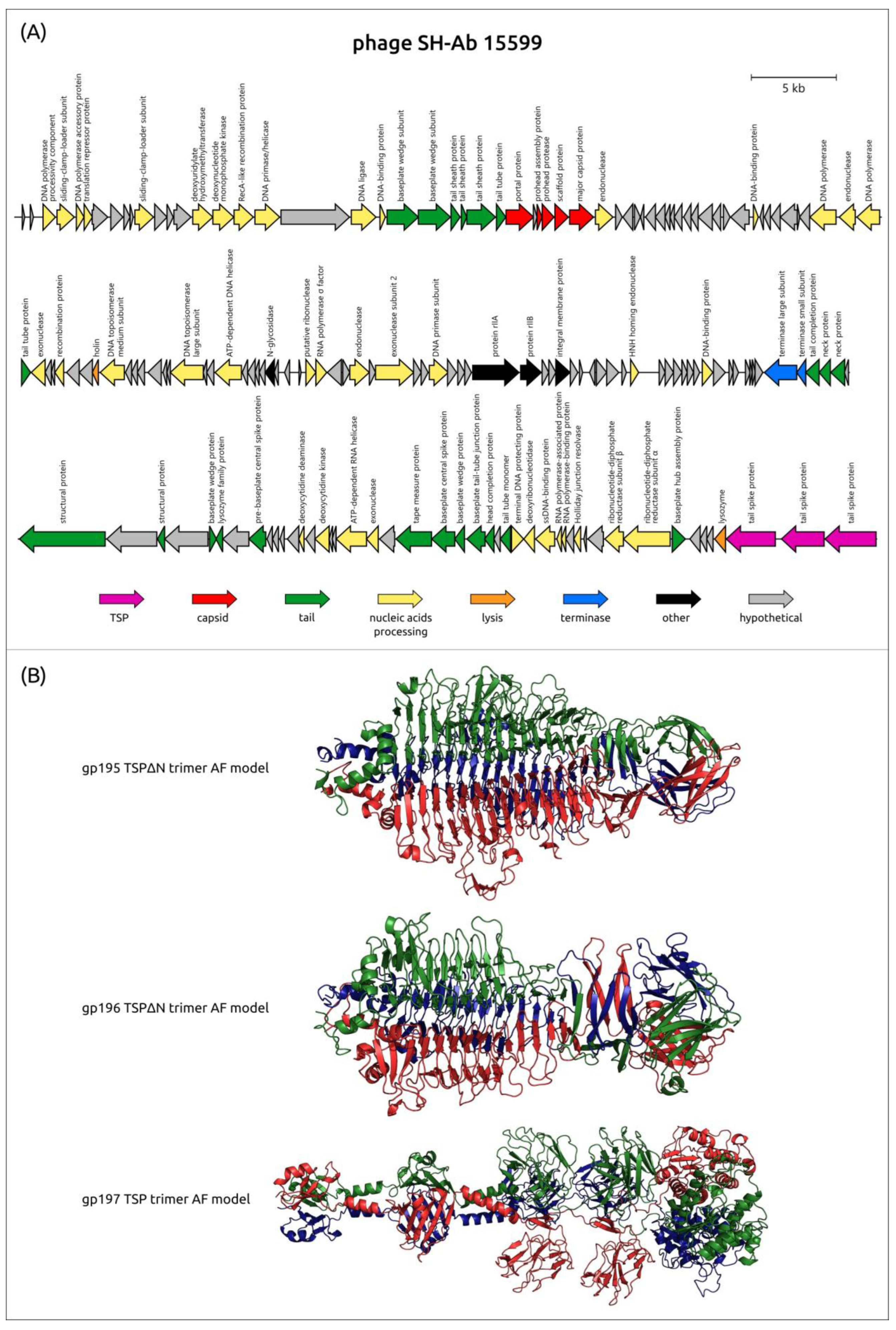 Viruses 16 00771 g007