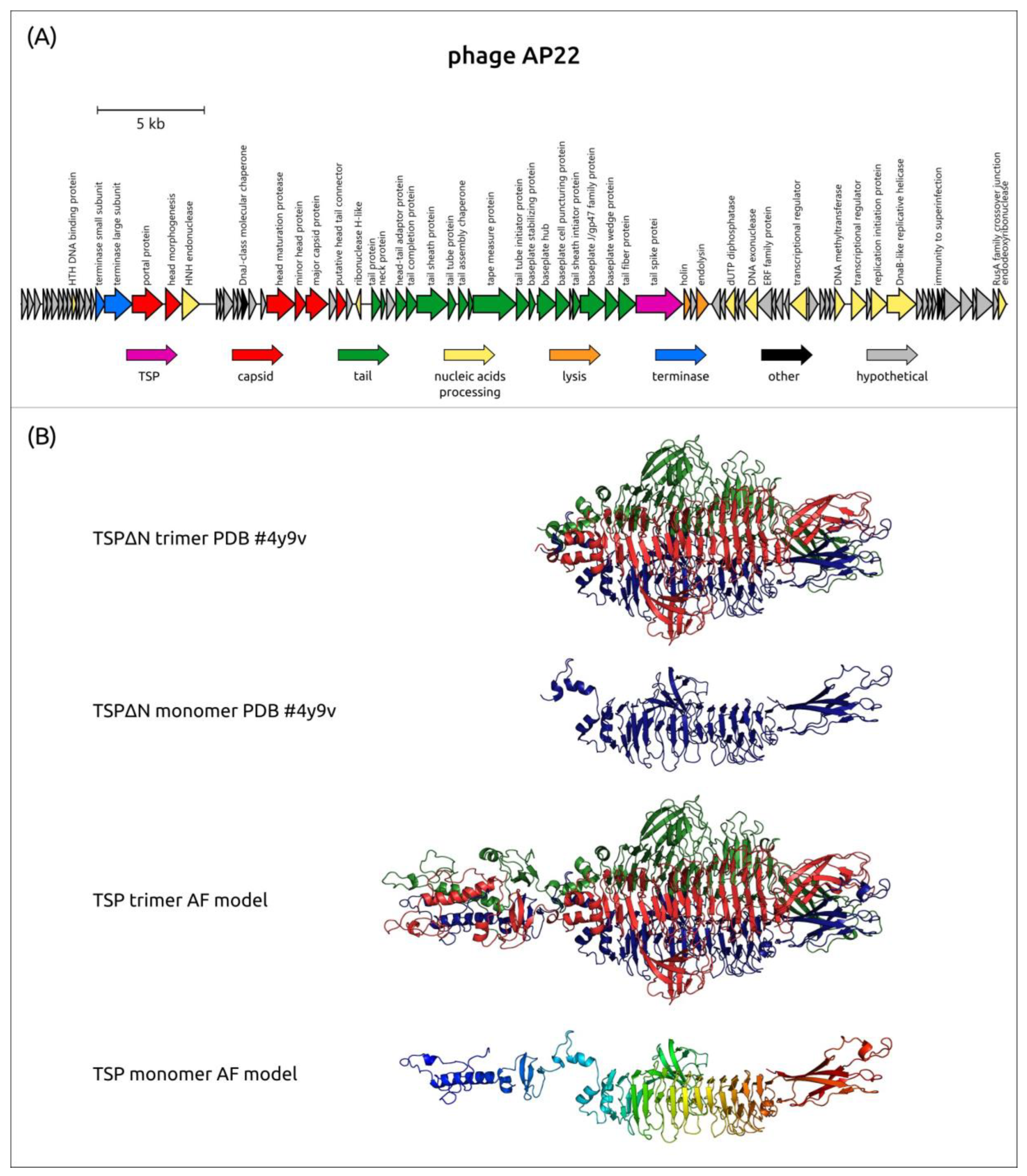 Viruses 16 00771 g008