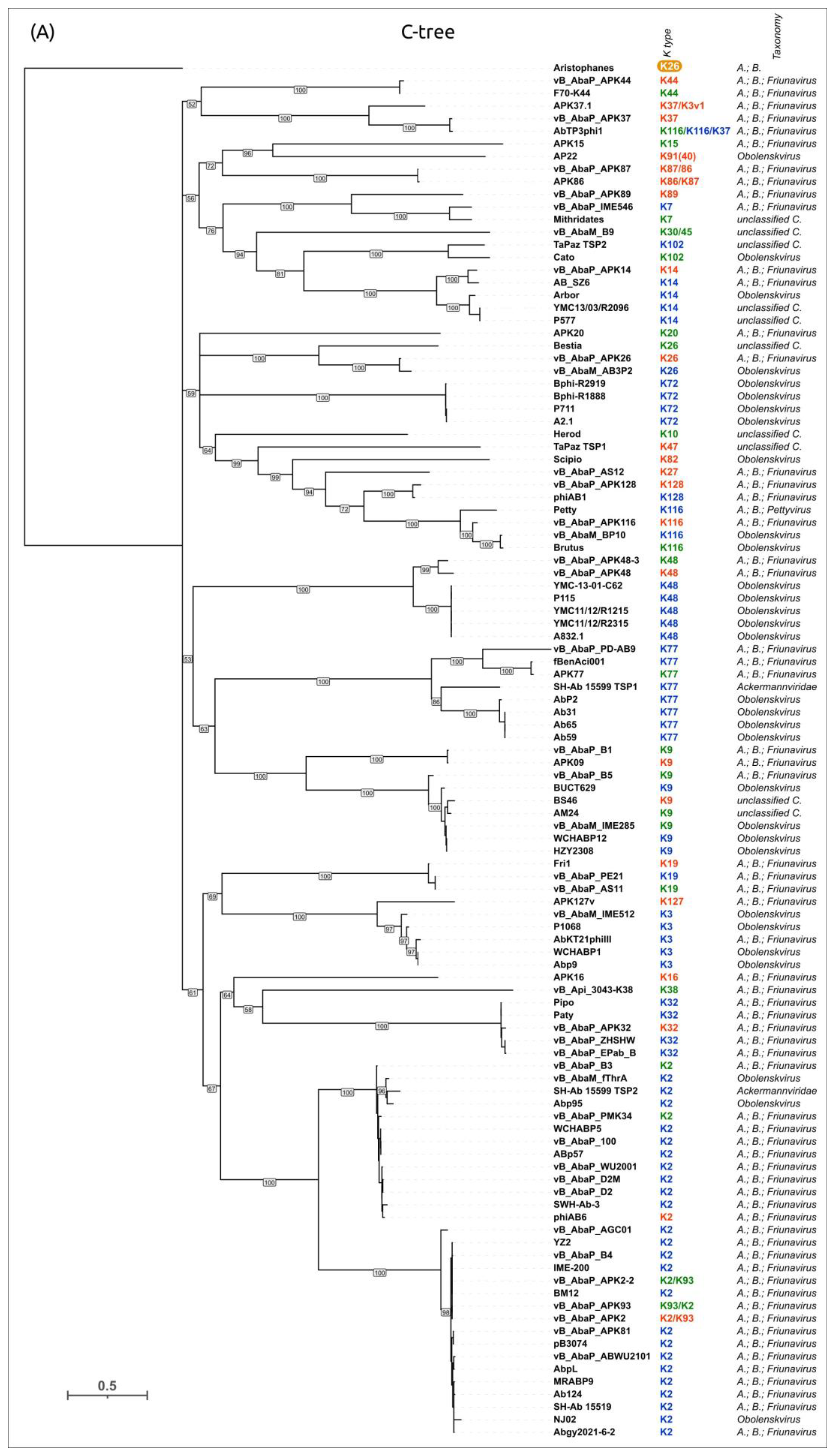 Viruses 16 00771 g012a