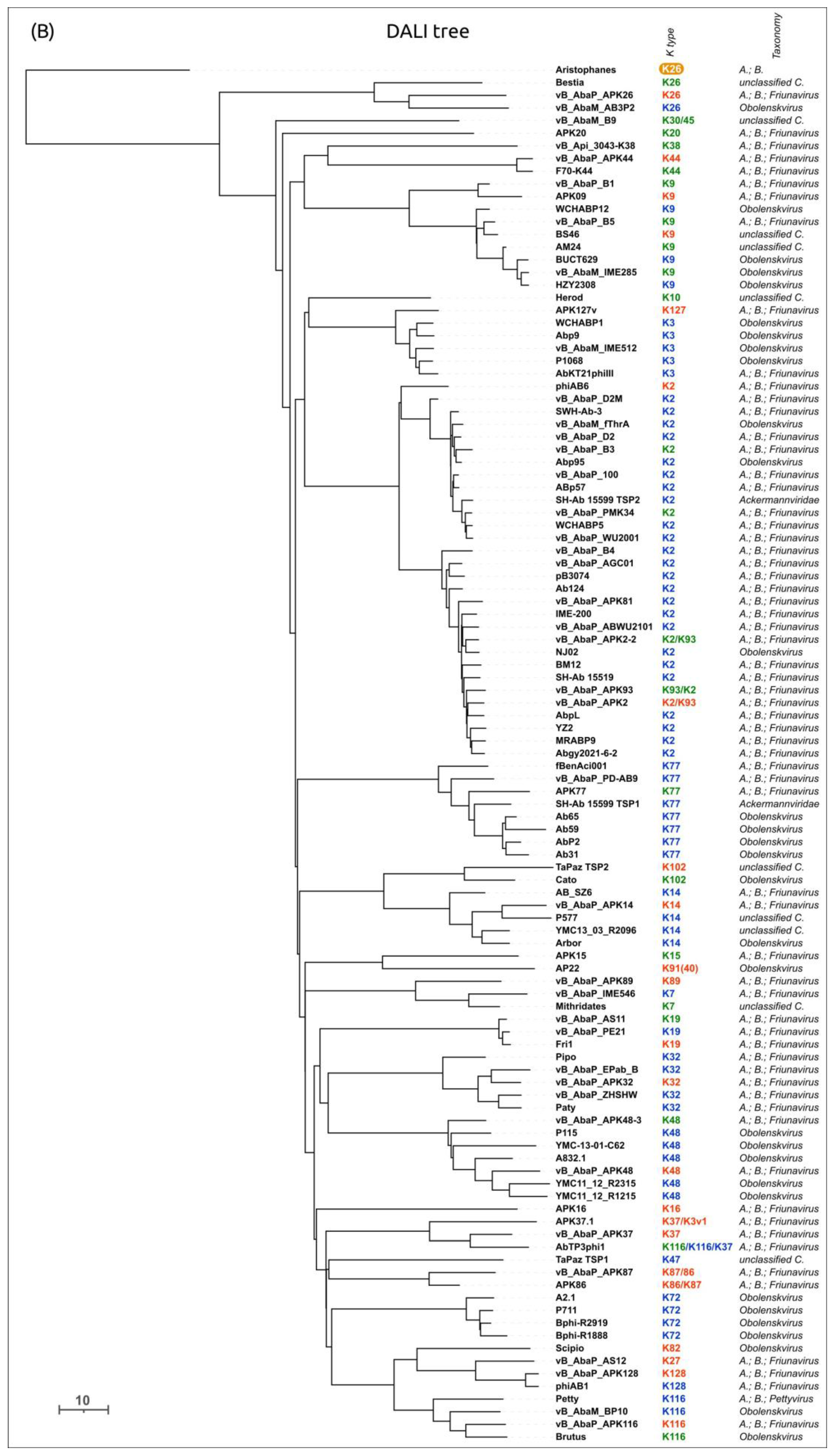Viruses 16 00771 g012b