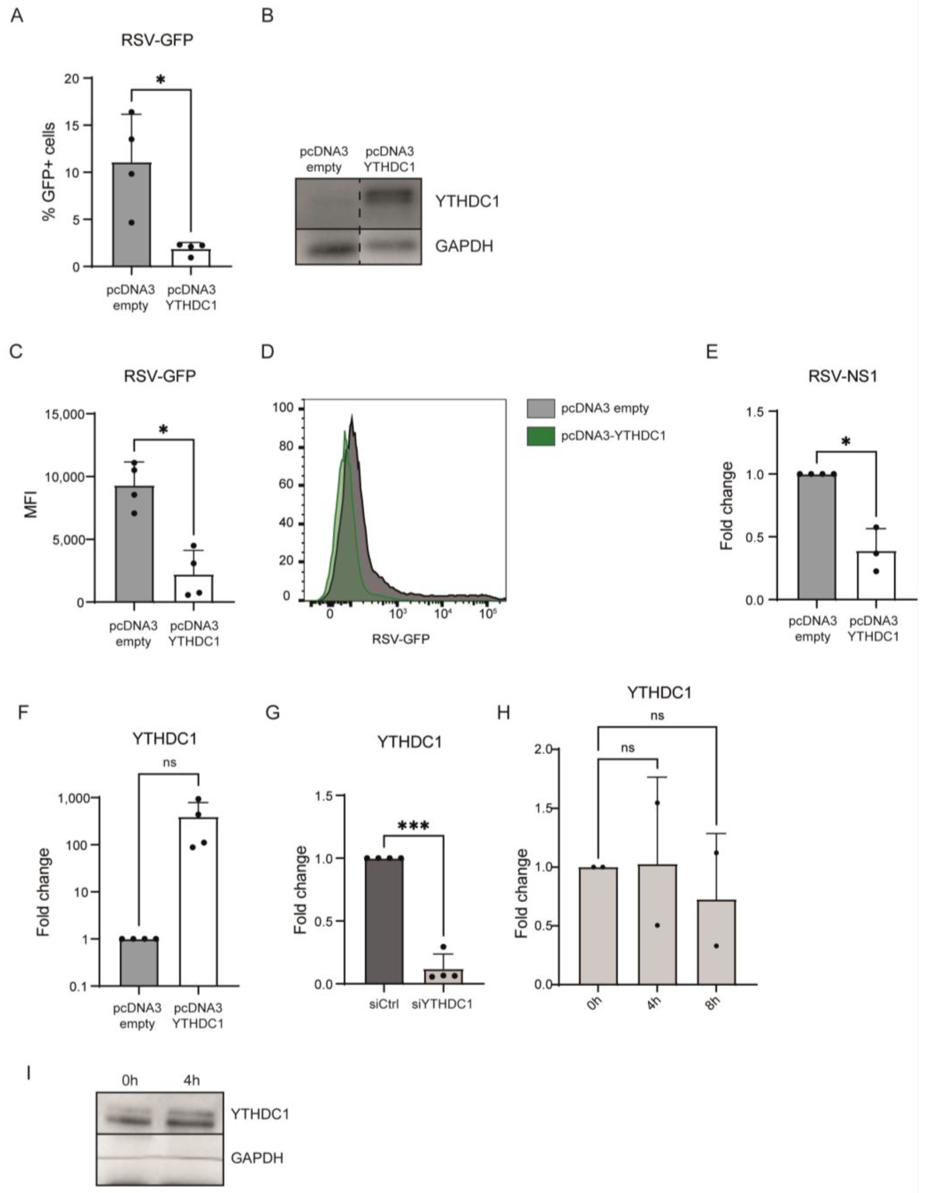 Viruses 16 00778 g001