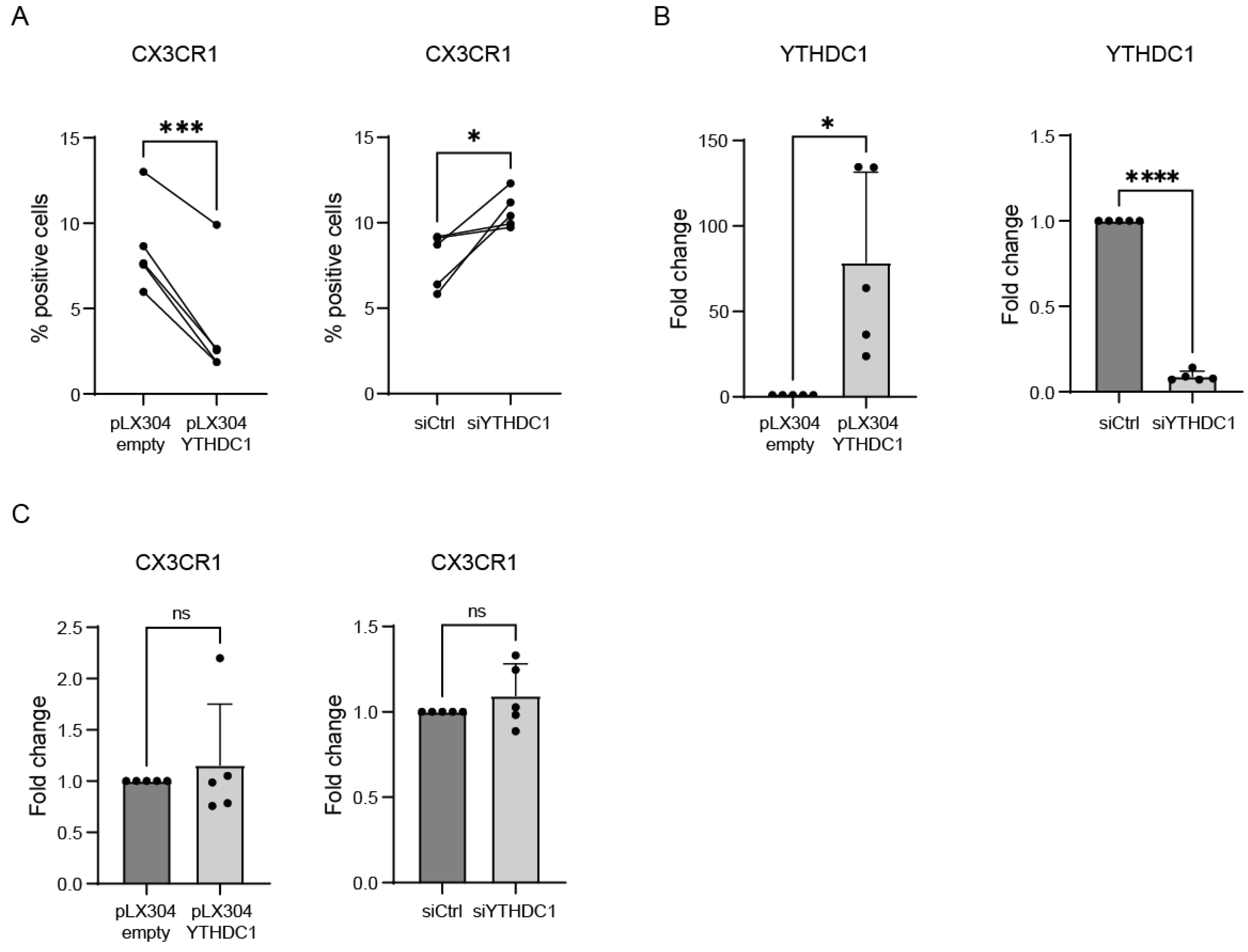 Viruses 16 00778 g005