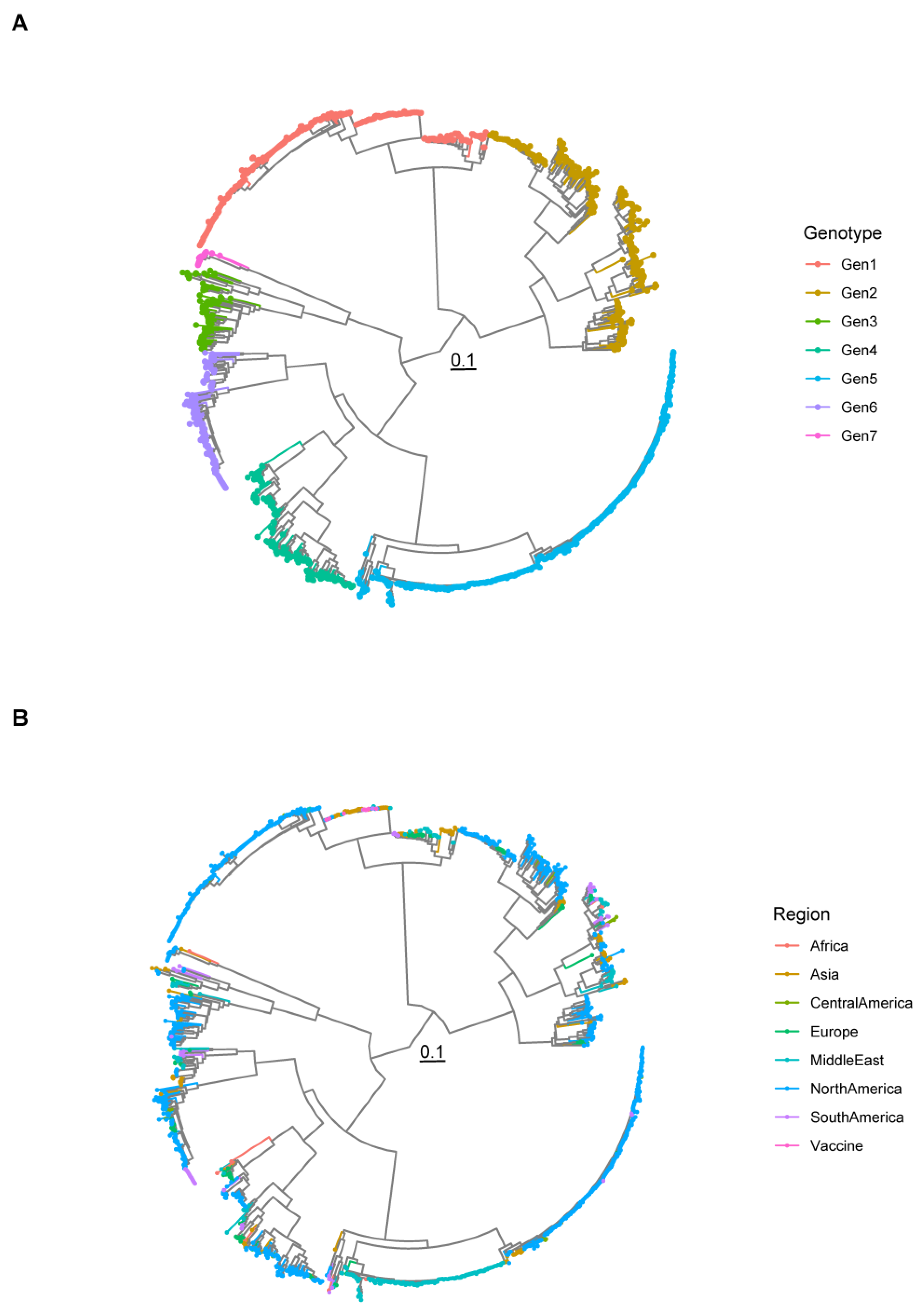 Viruses 16 00796 g001