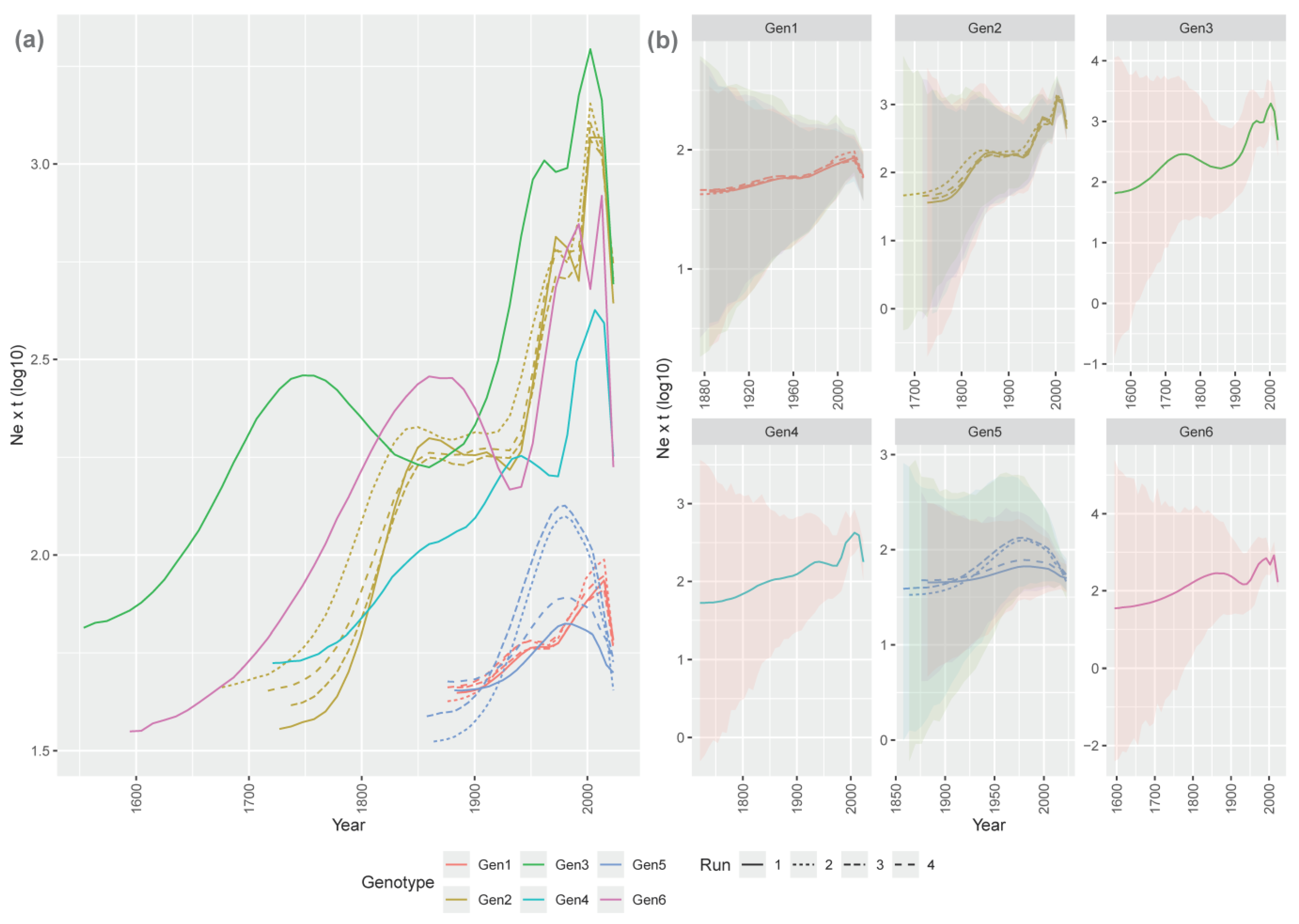 Viruses 16 00796 g002
