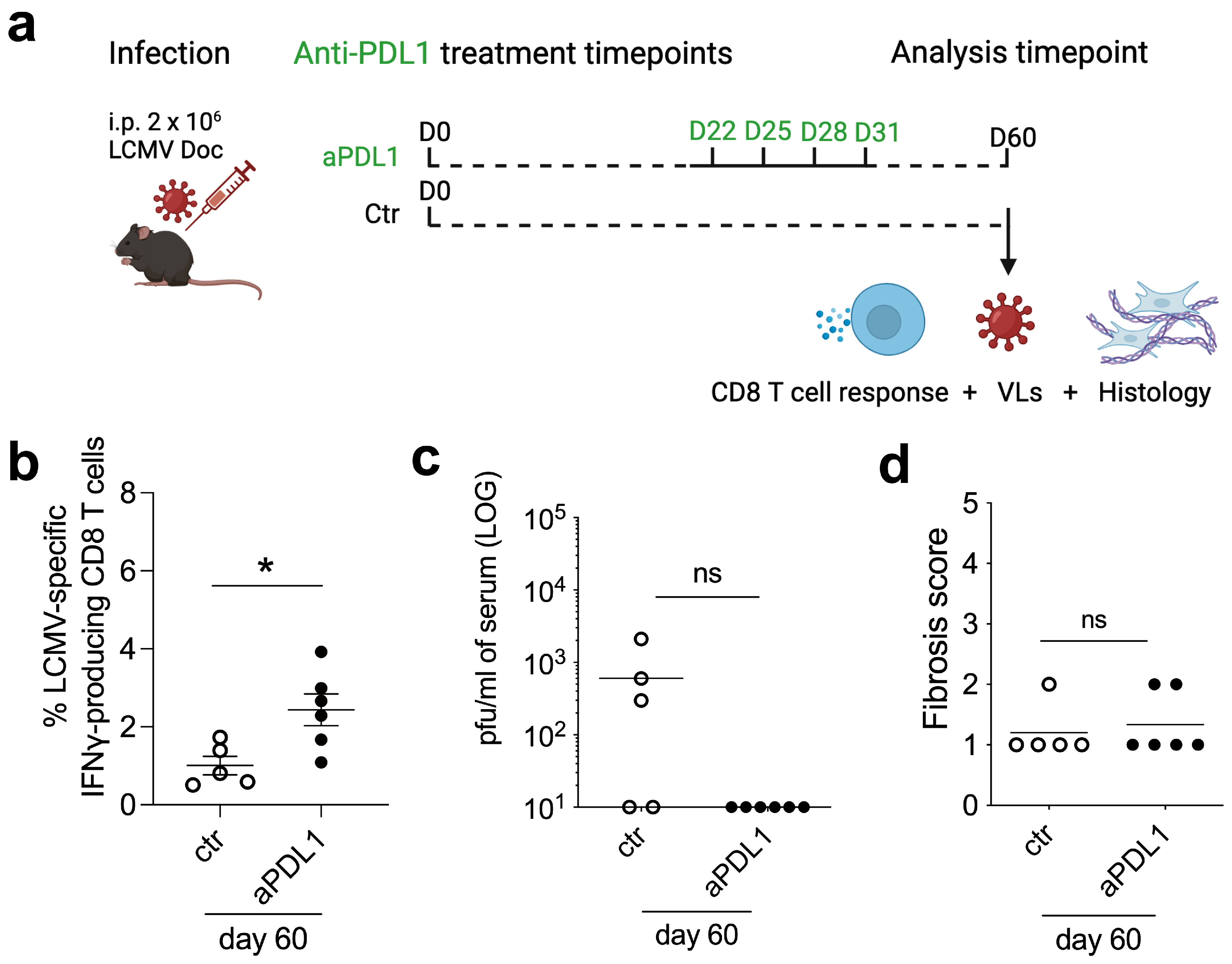 Viruses 16 00799 g002