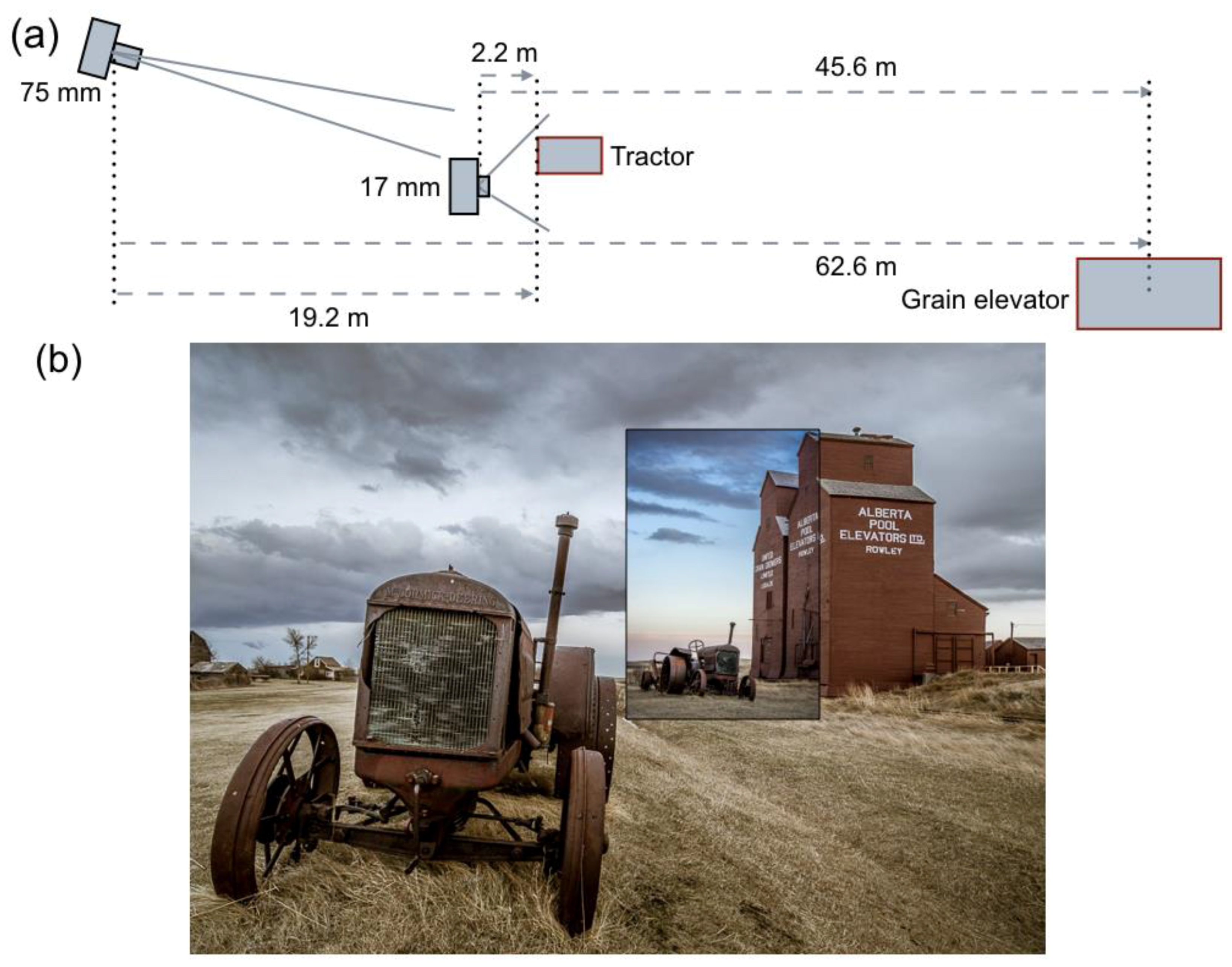 Vision 02 00026 g008 Vision 02 00026 g008