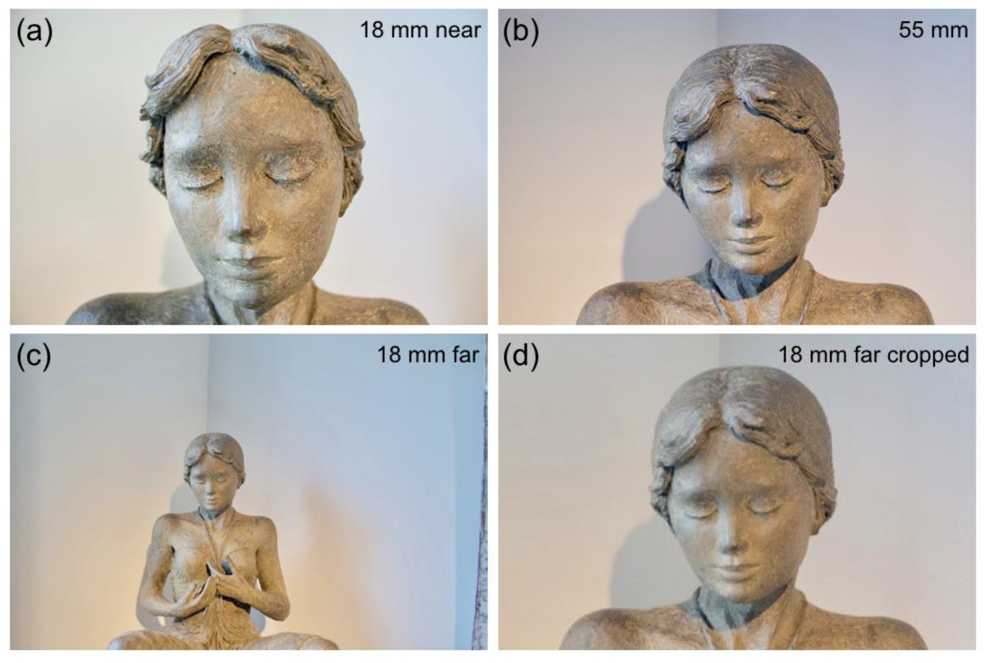 Vision 02 00026 g009 Vision 02 00026 g009