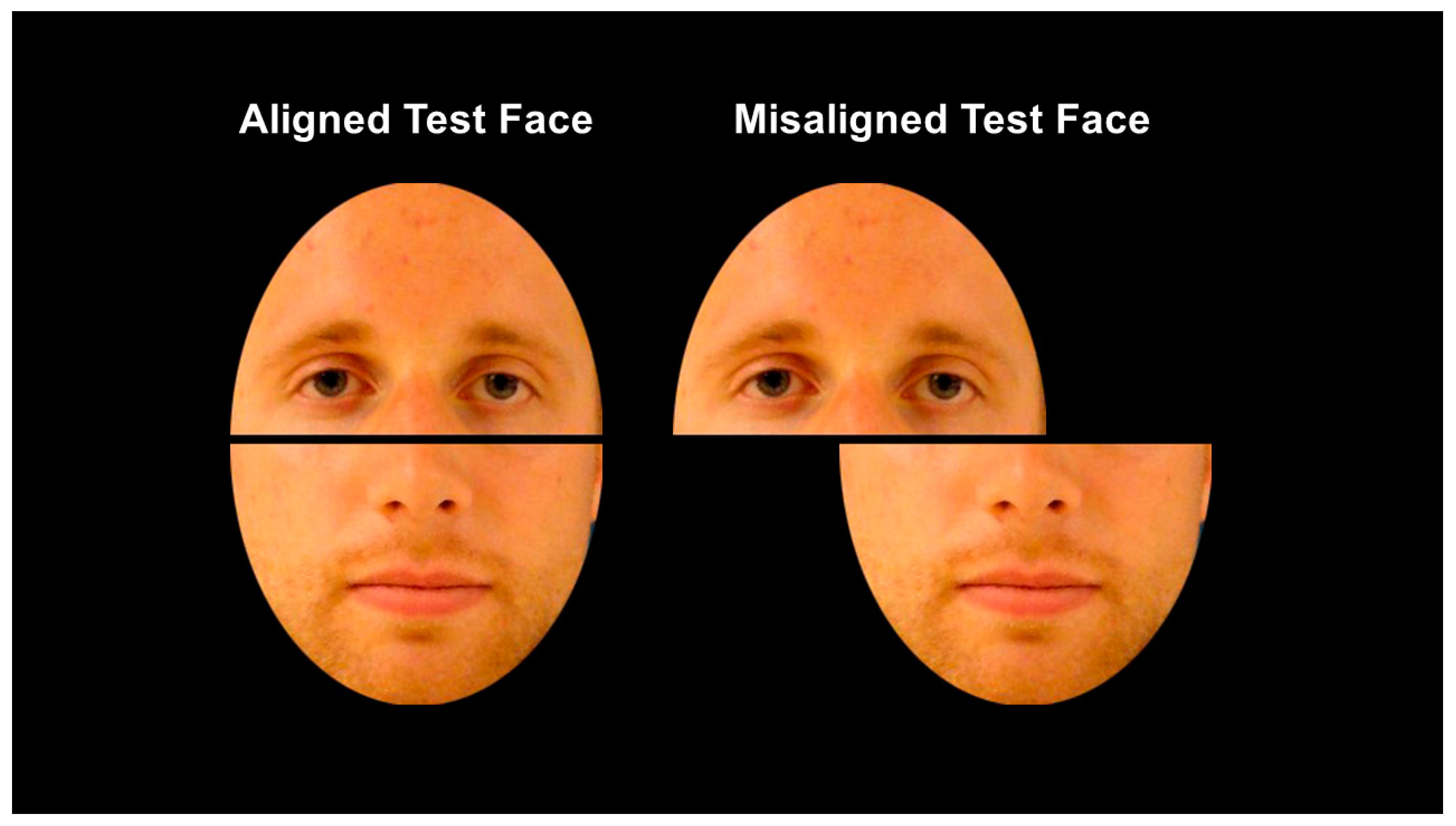 Vision 07 00076 g002