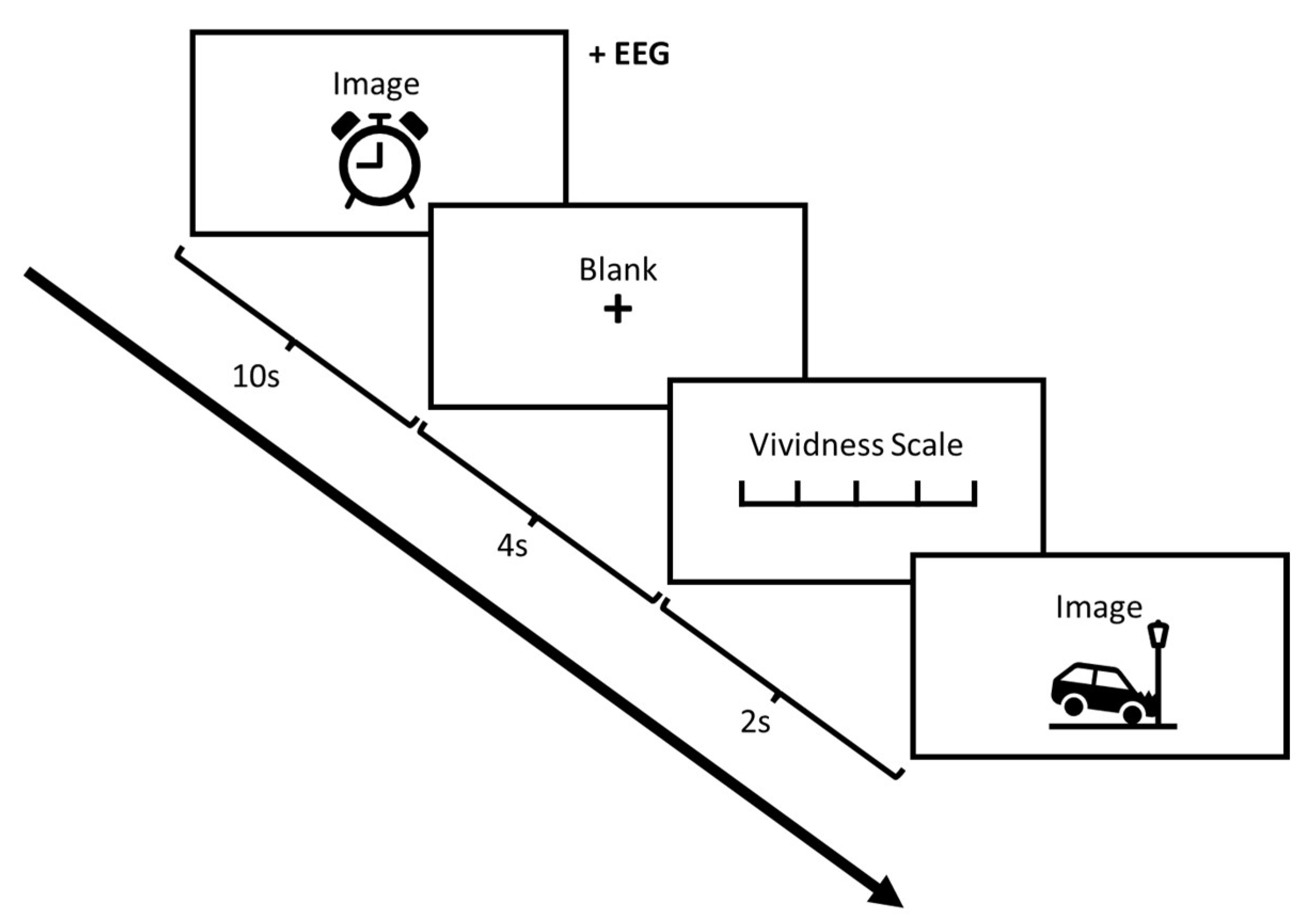 Vision 07 00077 g001