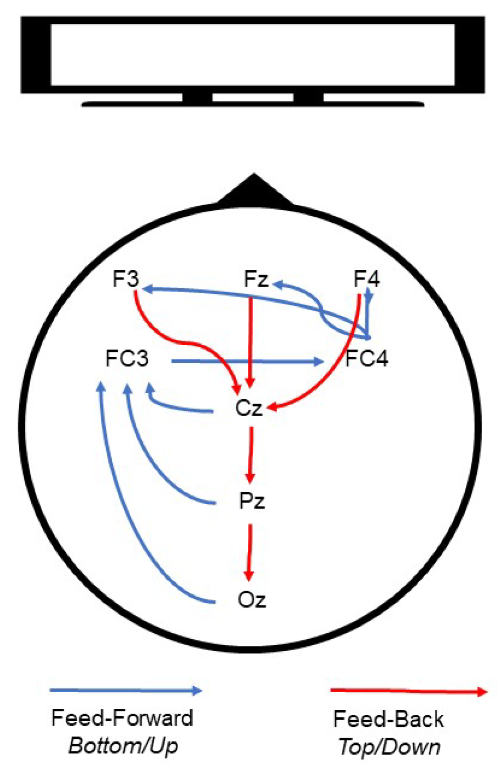 Vision 07 00077 g011