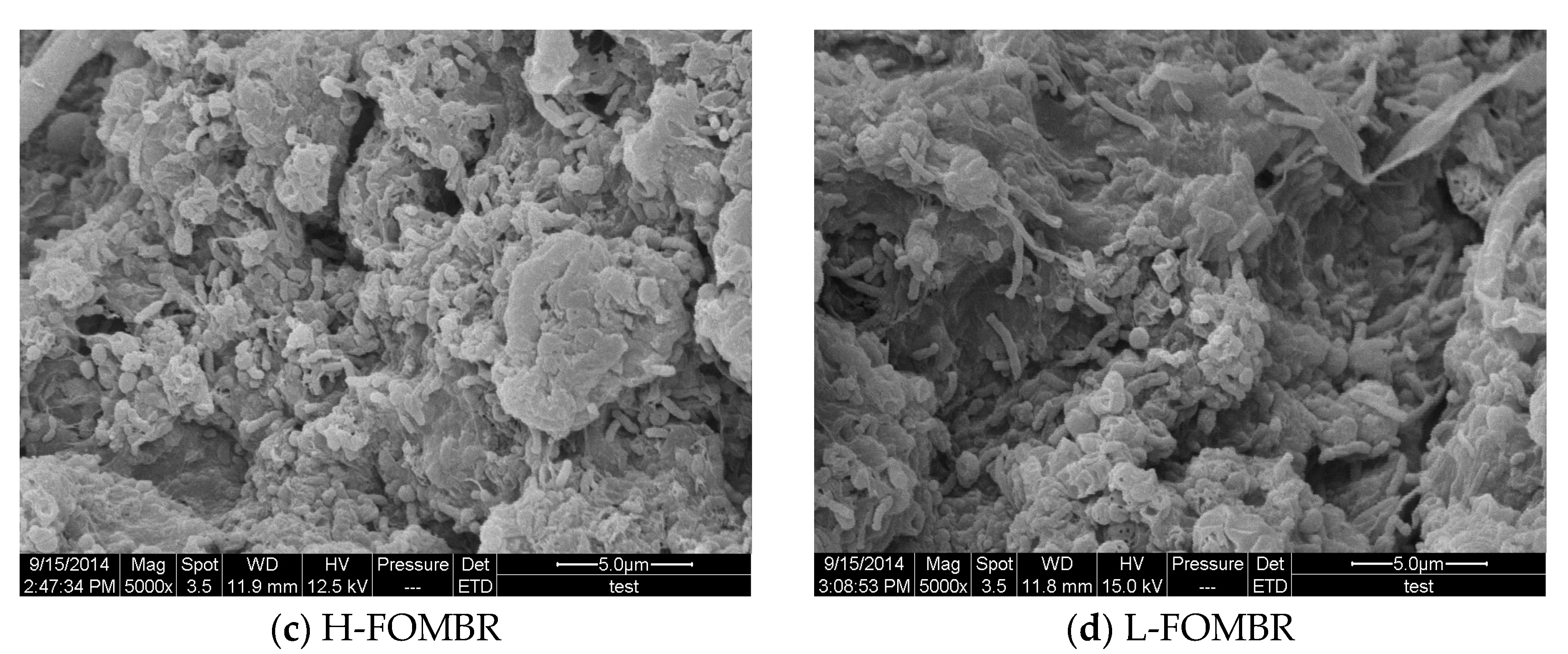 Water 12 02958 g007b