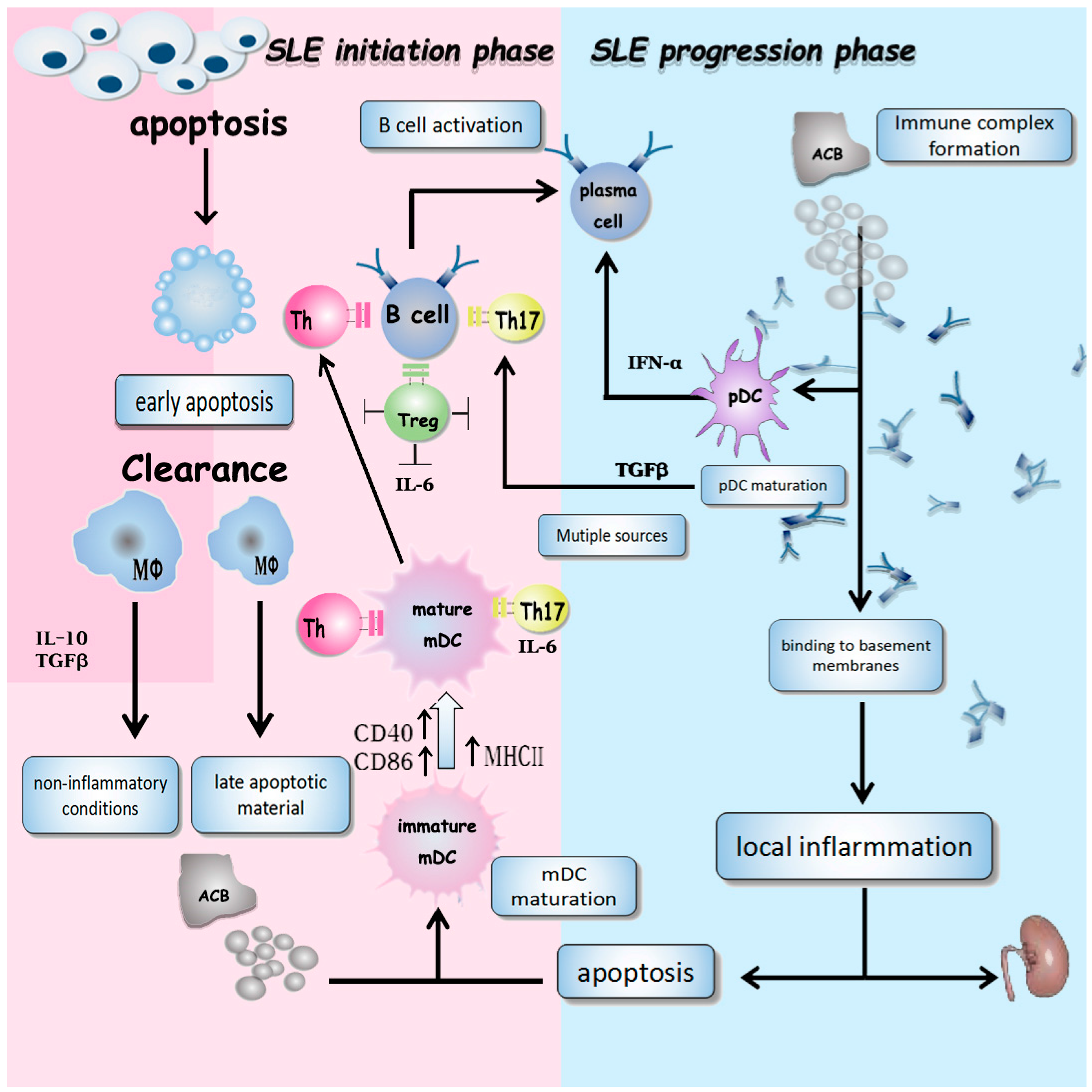 Molecules | Free Full-Text | Dysregulation Of Cell Death And Its ...