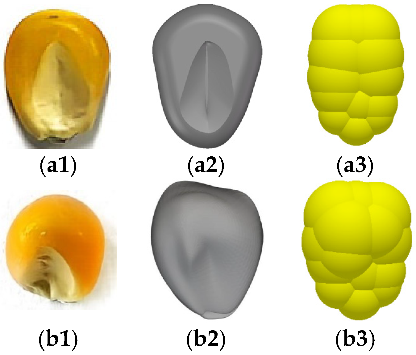 Agriculture 14 00750 g010