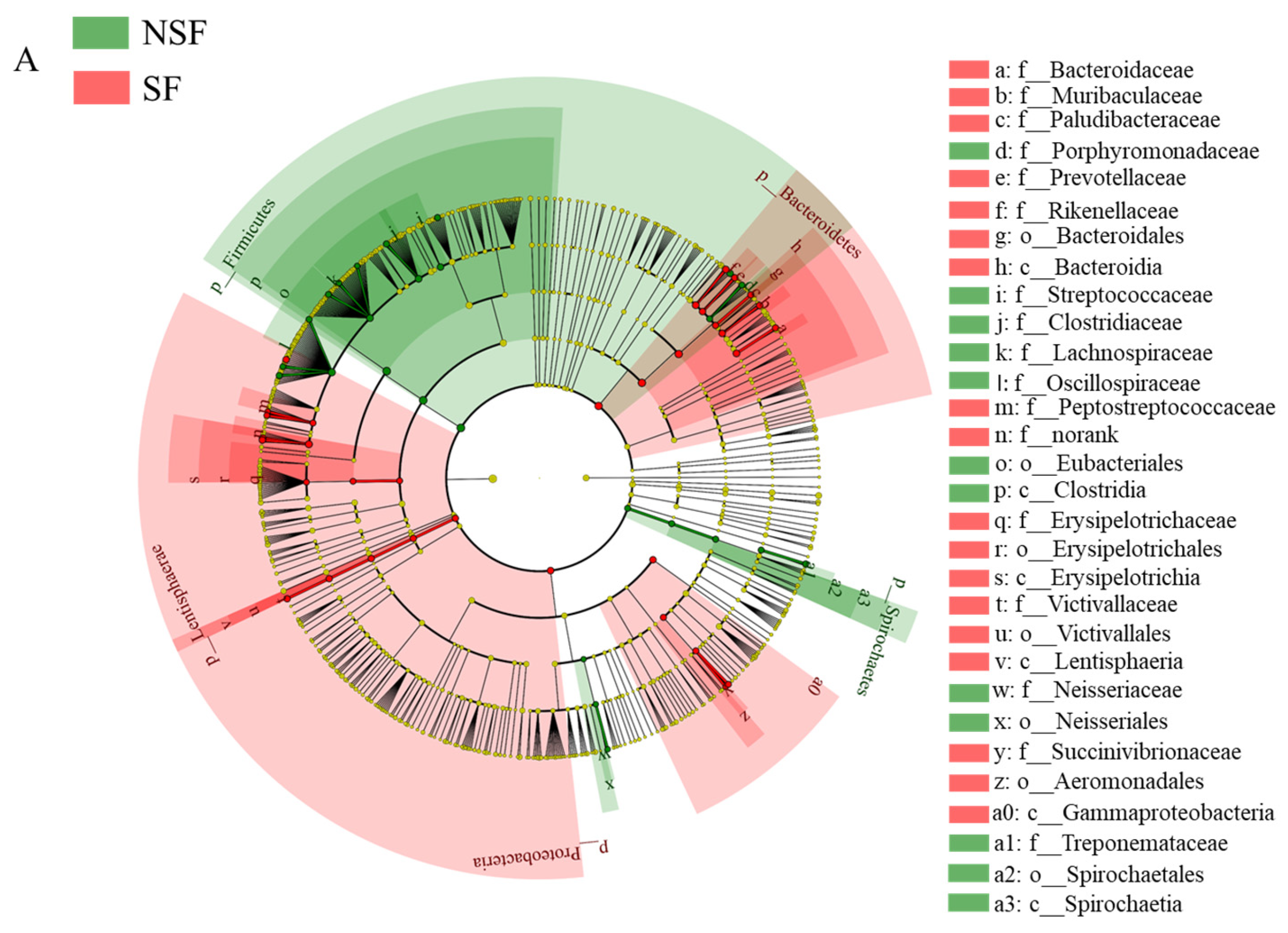 Animals 14 01428 g006a
