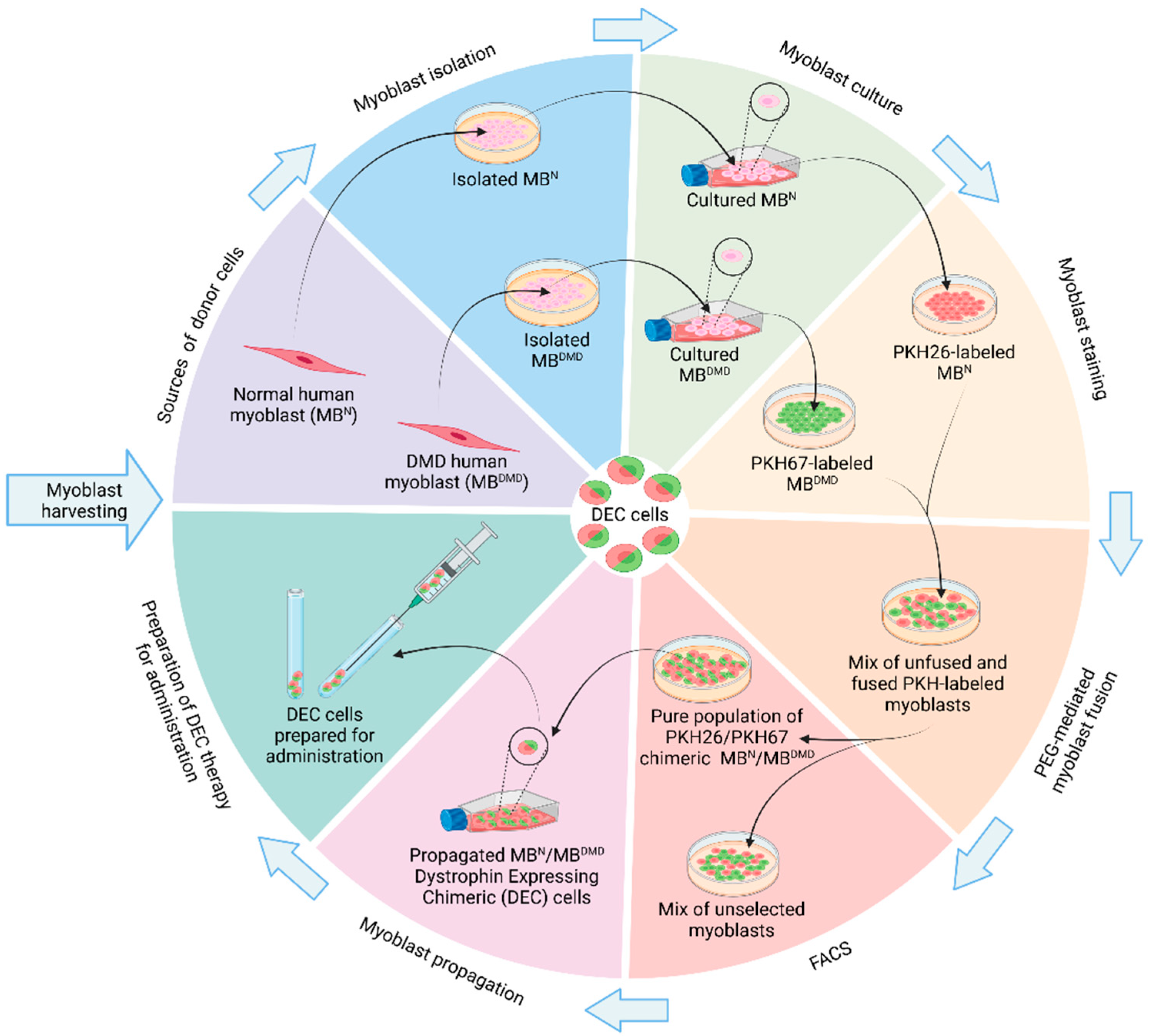 Biomolecules 14 00575 g002