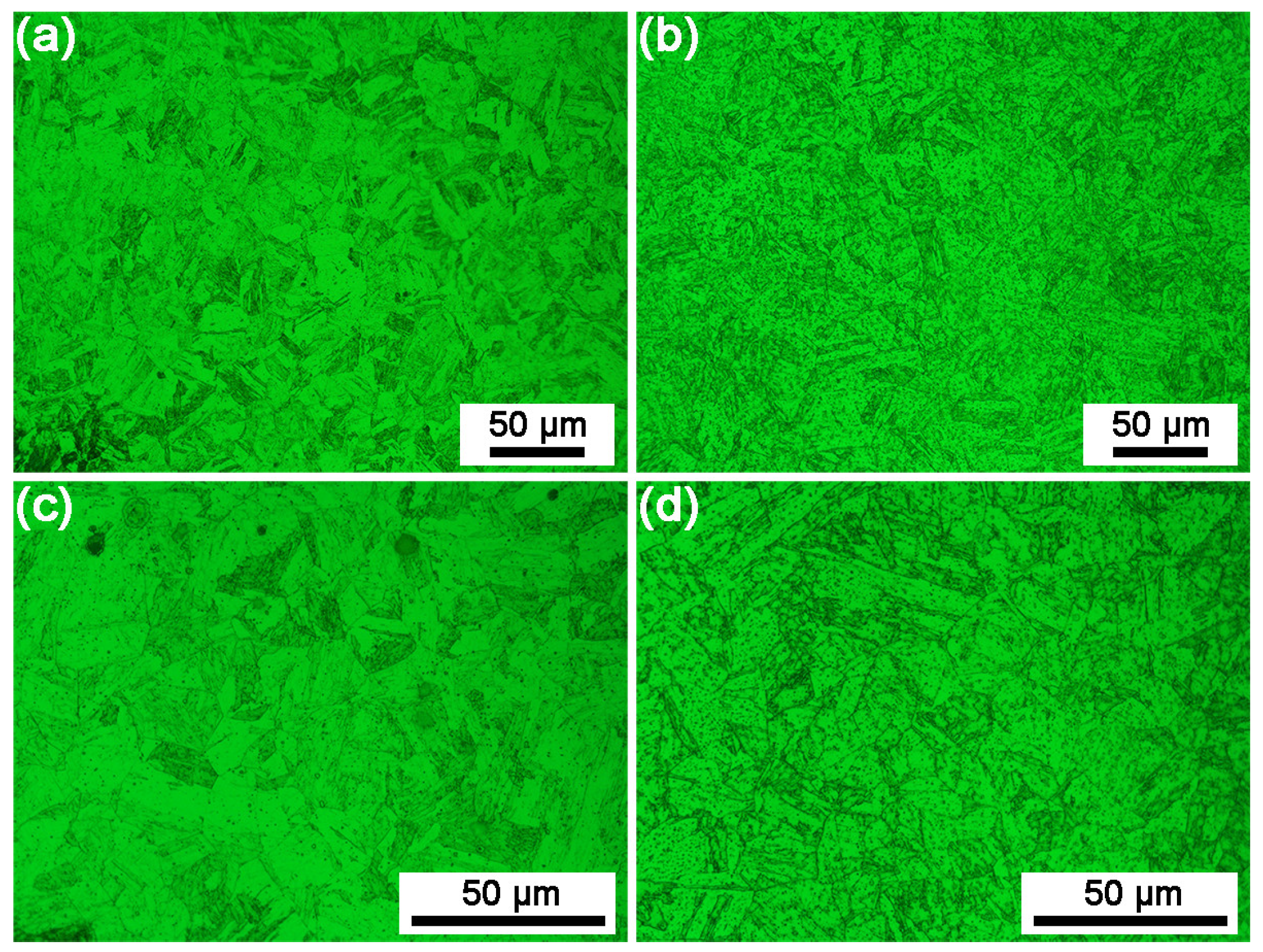 Coatings 14 00572 g007