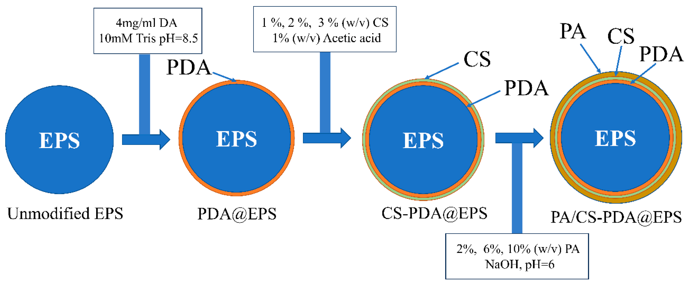 Coatings 14 00574 g001