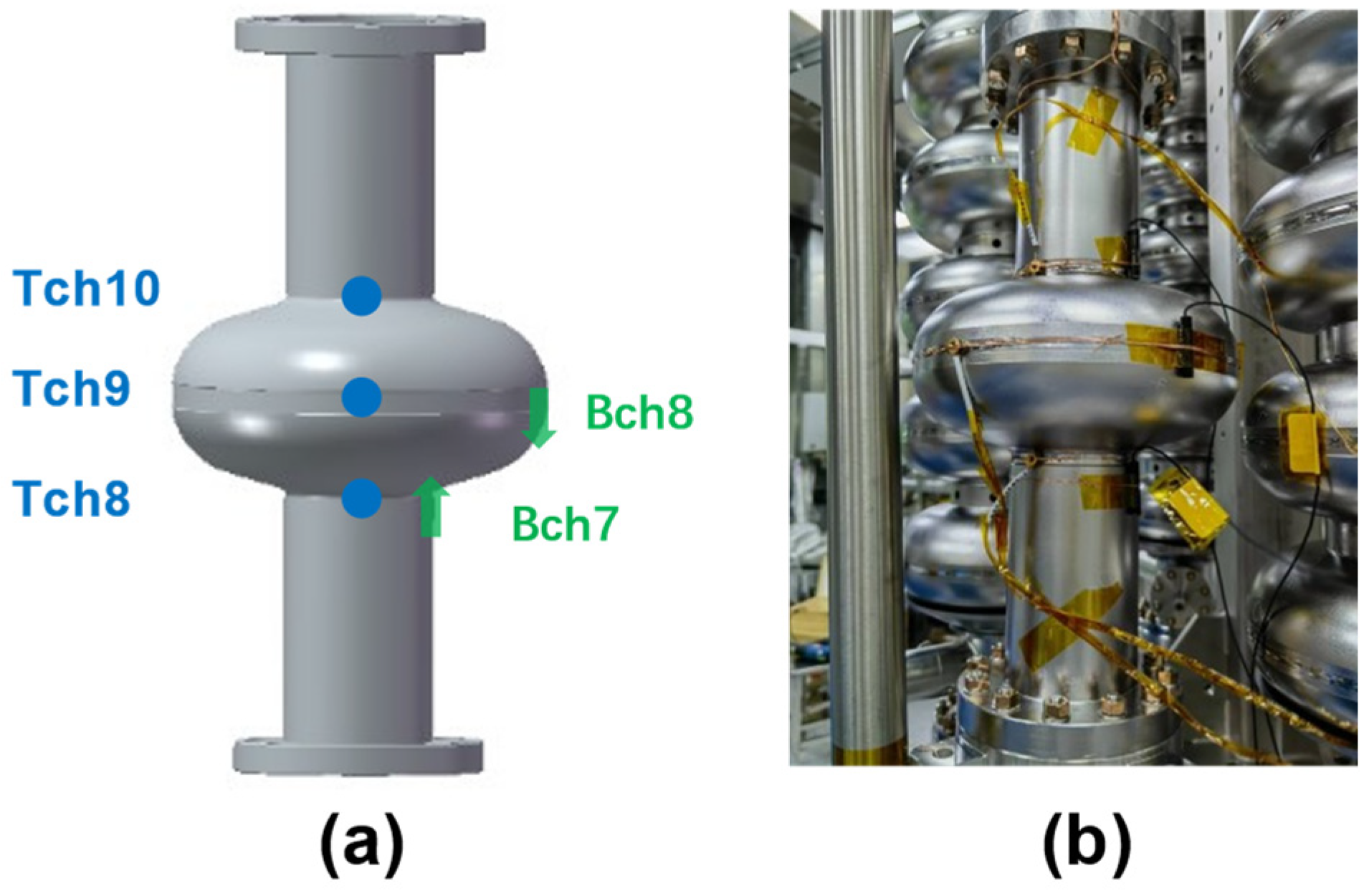 Coatings 14 00581 g008