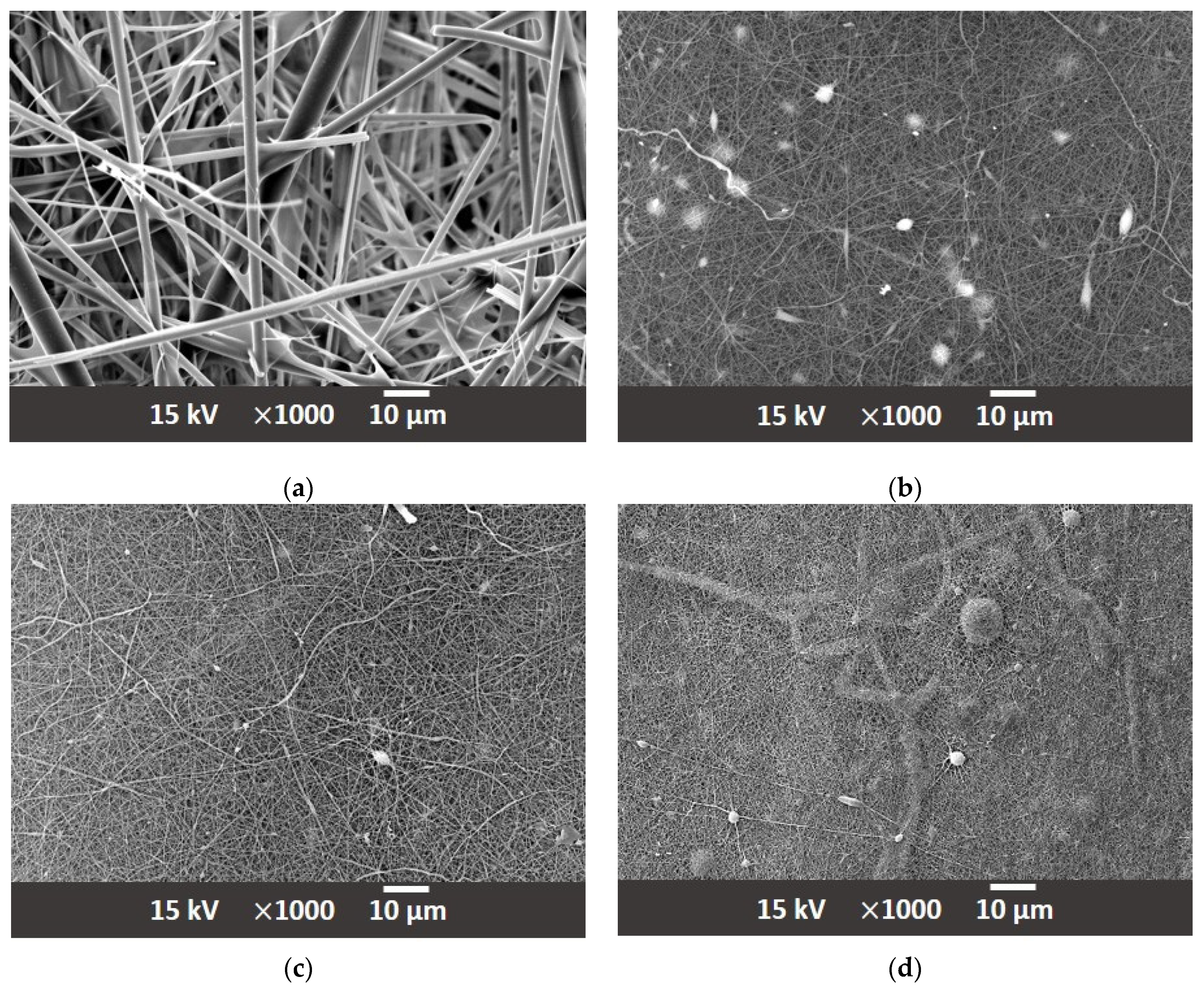 Materials 17 02209 g006