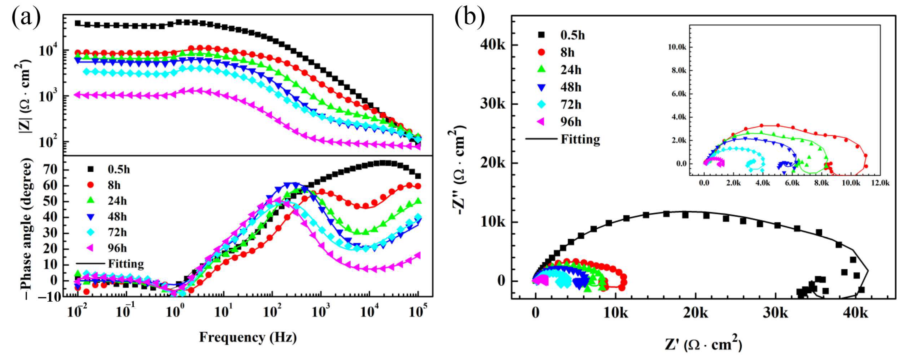Metals 14 00569 g005