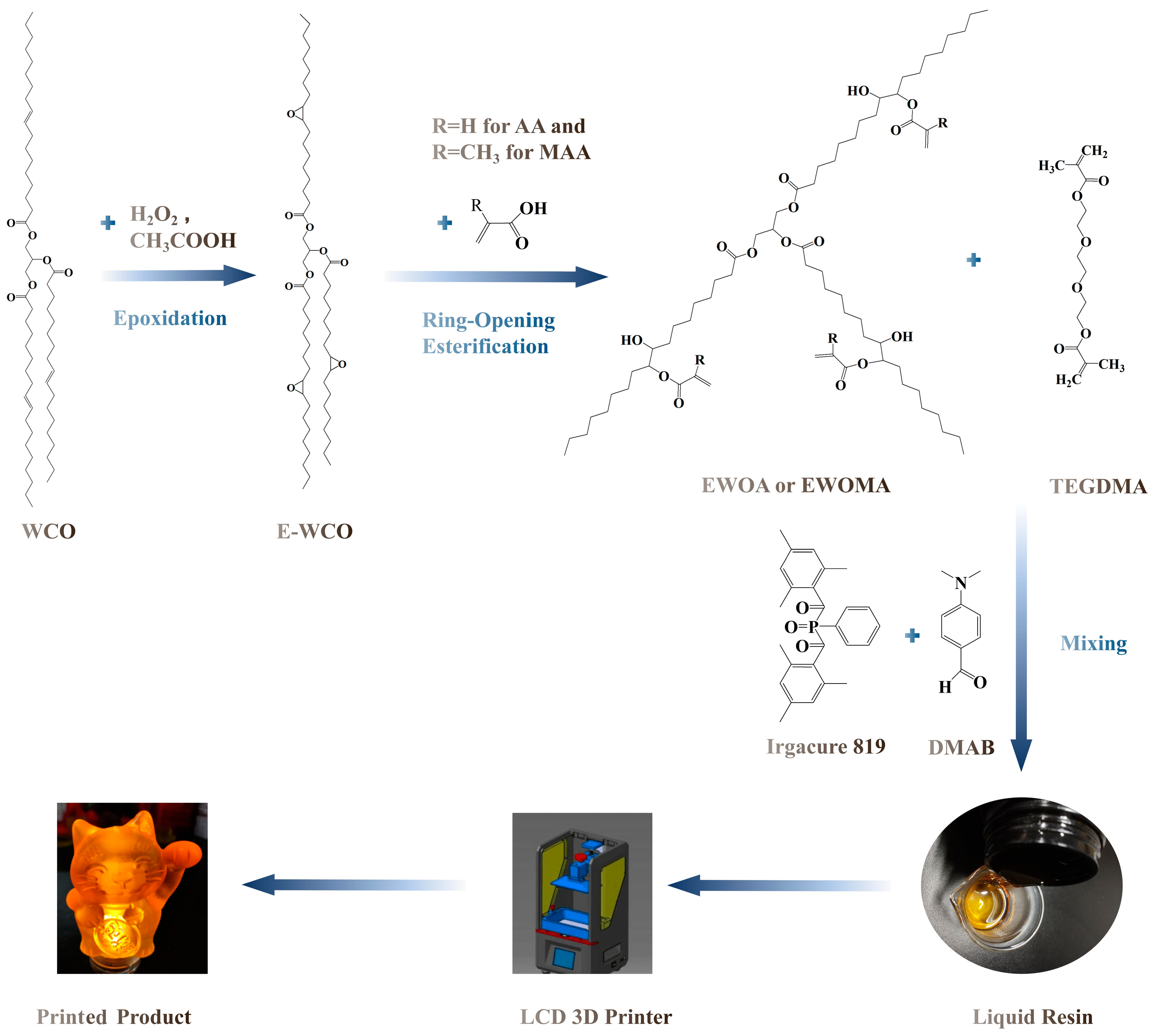 Molecules 29 02162 g001