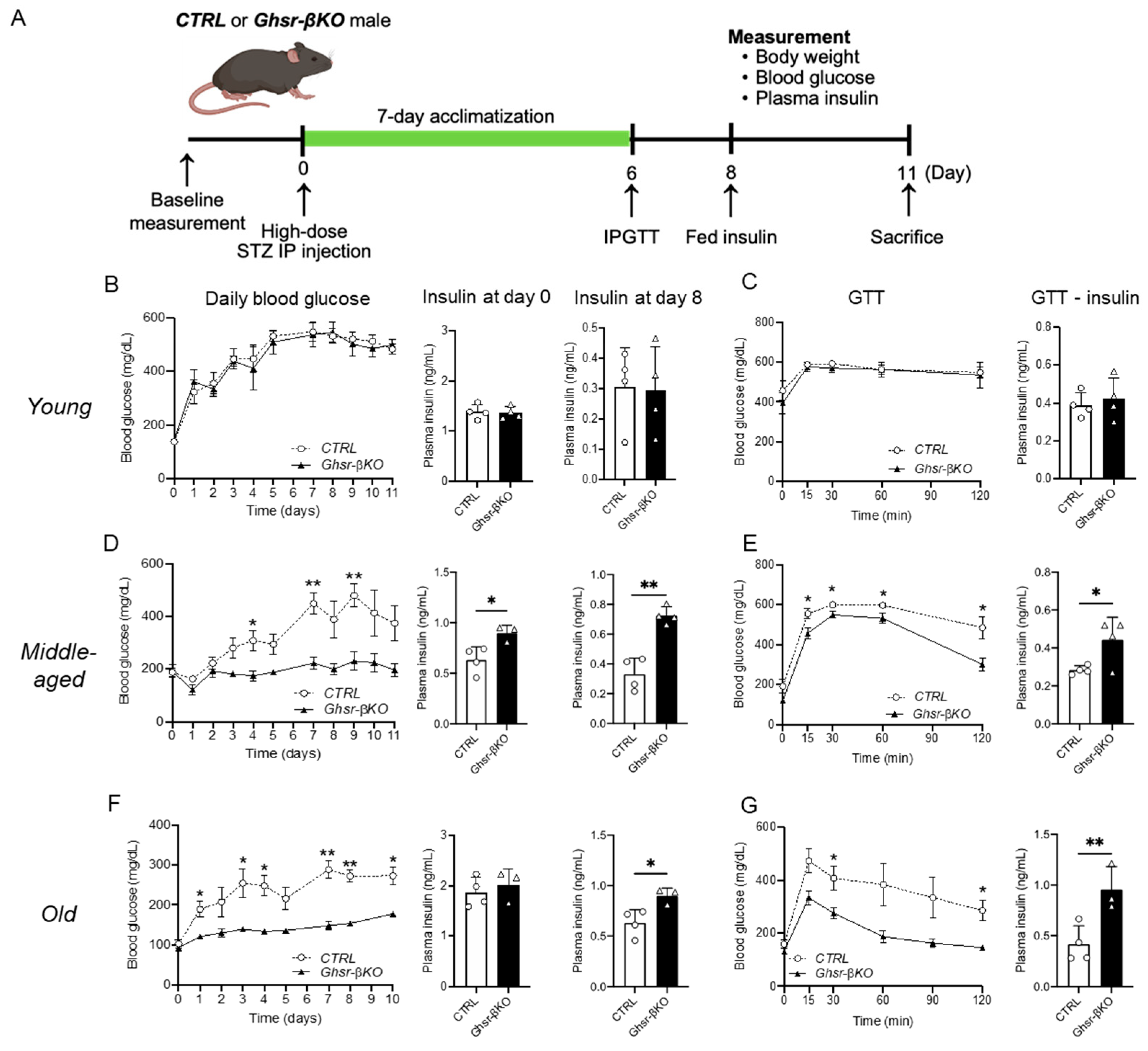 Nutrients 16 01464 g006
