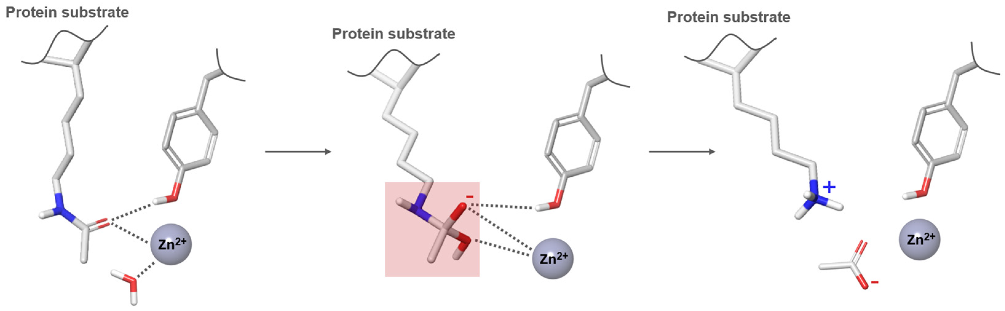 Pharmaceuticals 17 00620 g003